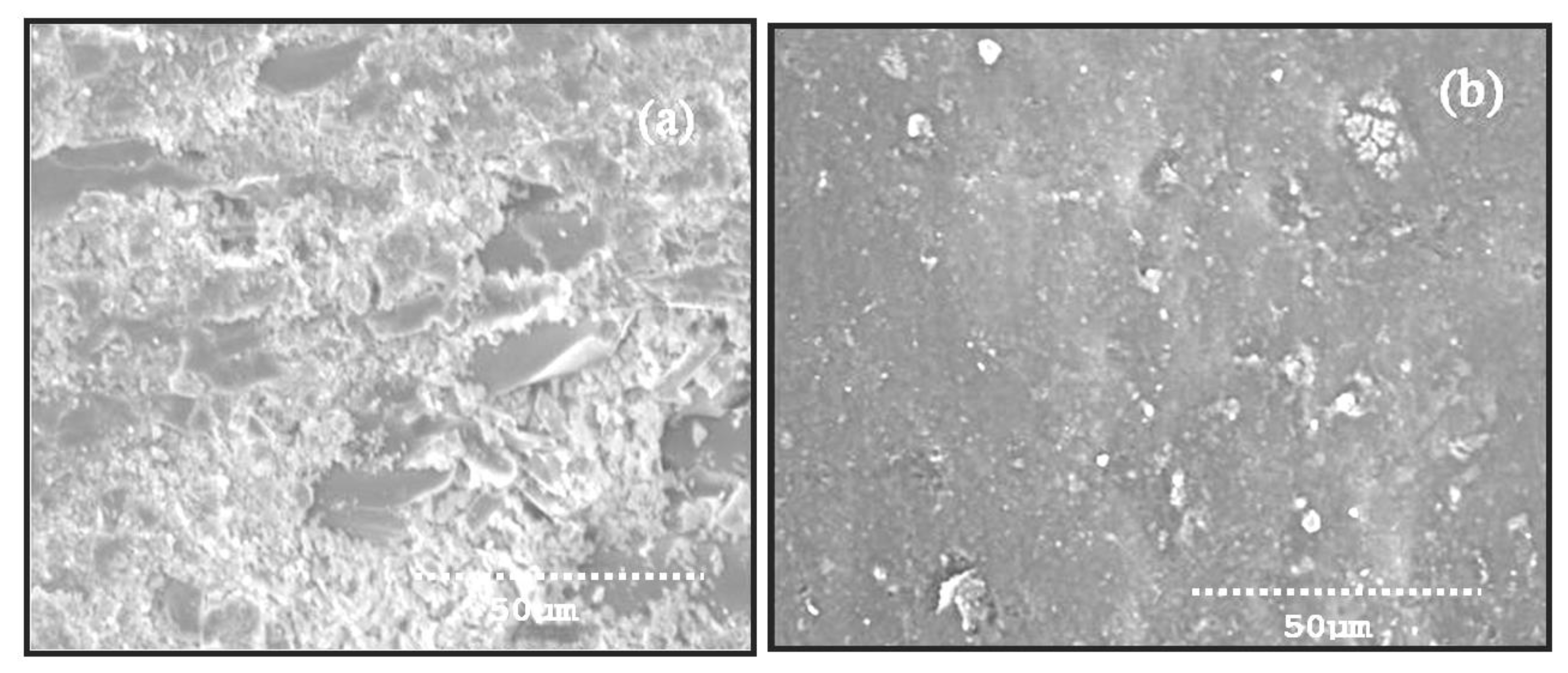 Materials 14 05257 g010 550