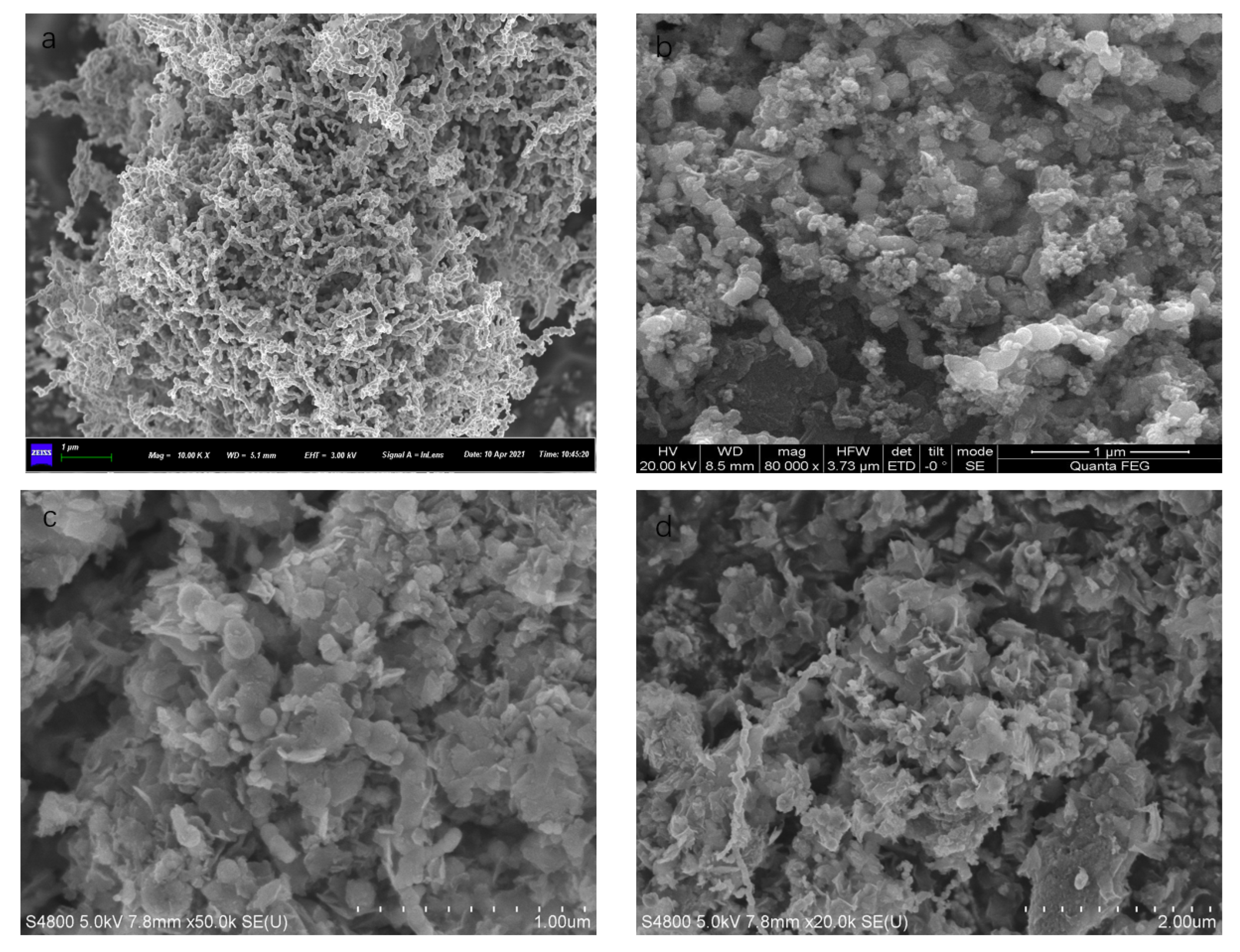 Materials 14 05268 g005