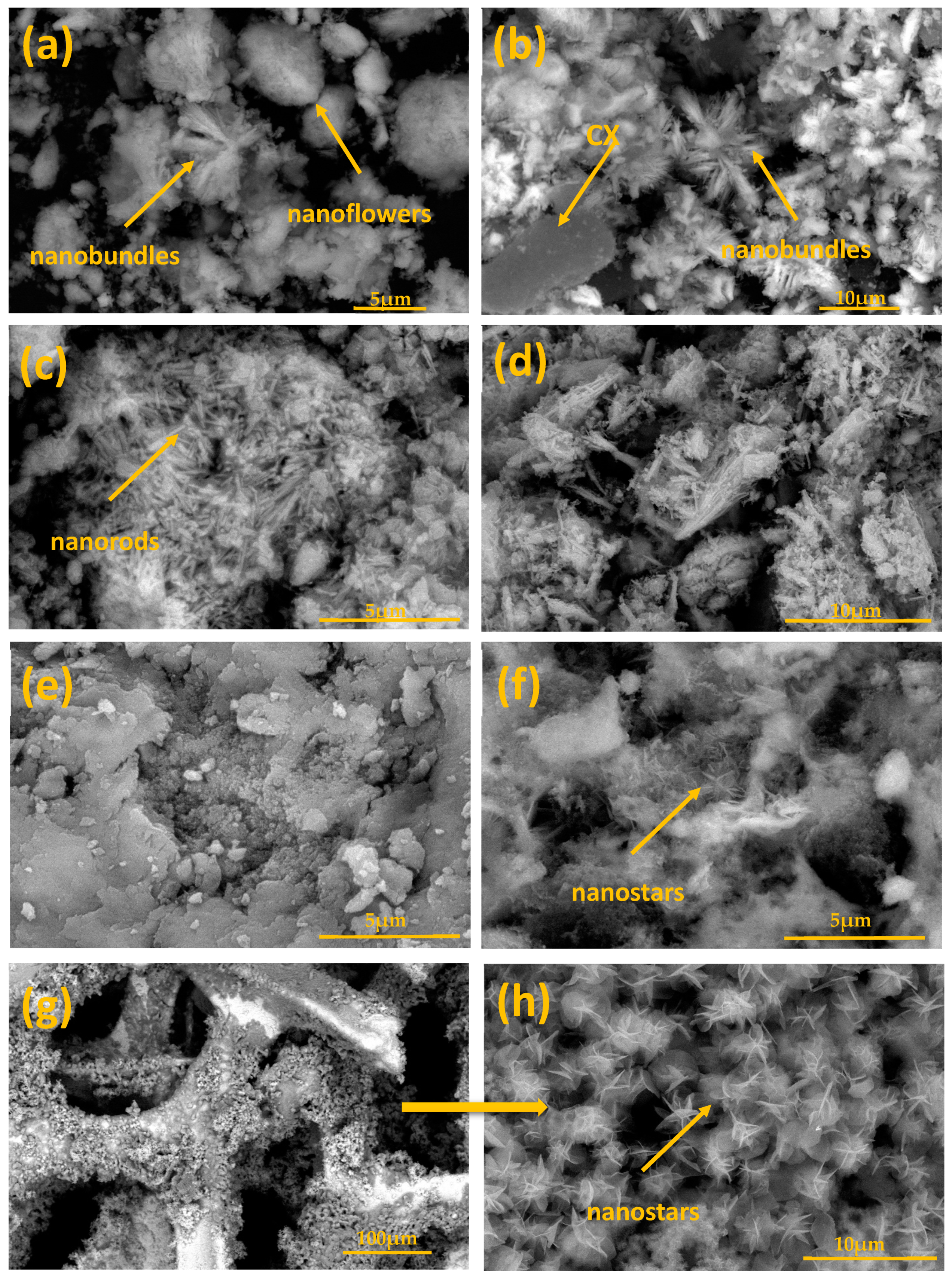 Materials 14 05271 g002