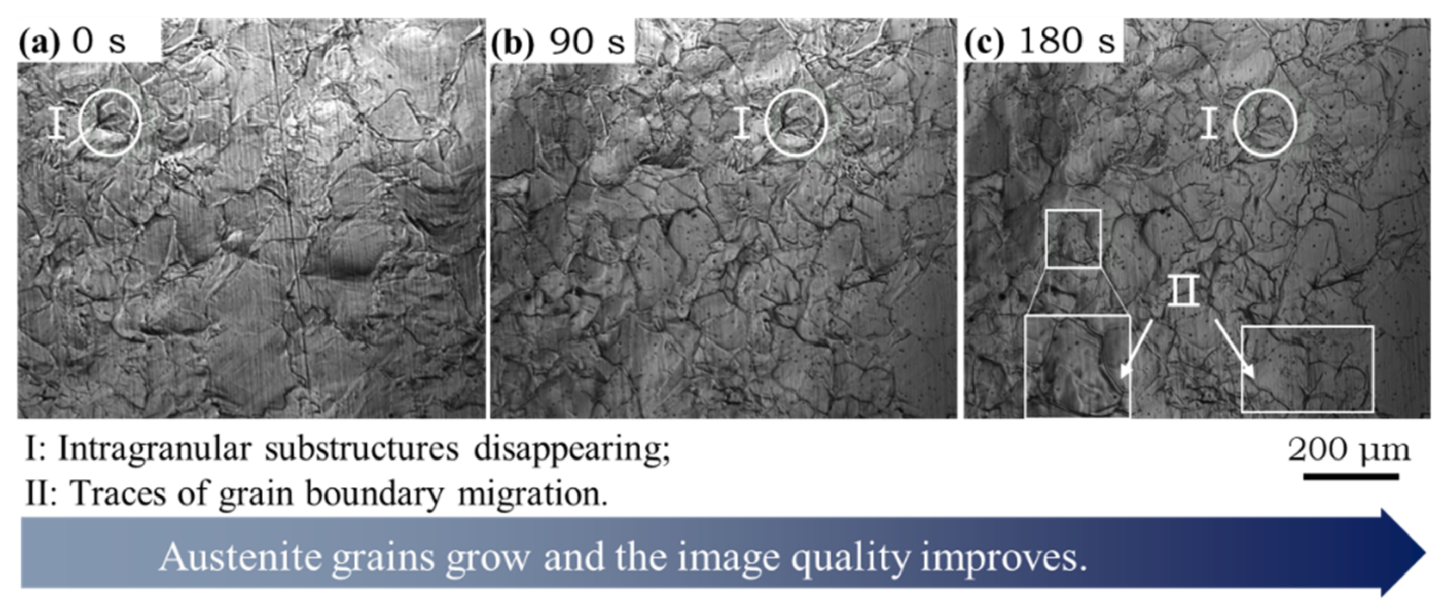 Materials 14 05274 g007 550