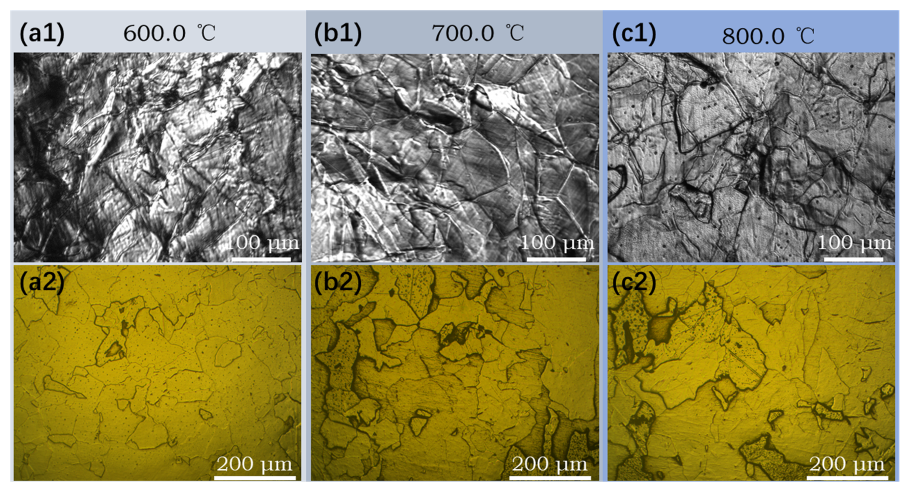 Materials 14 05274 g010 550