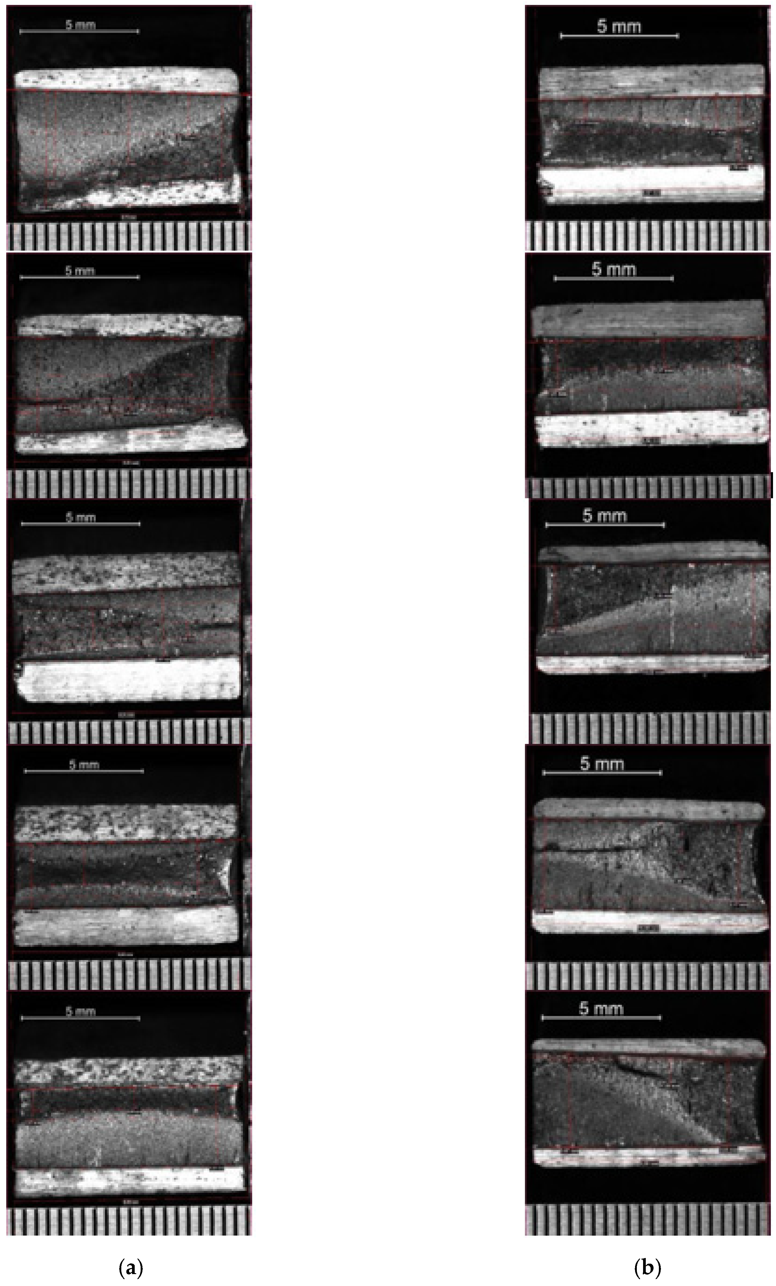 Materials 14 05275 g015