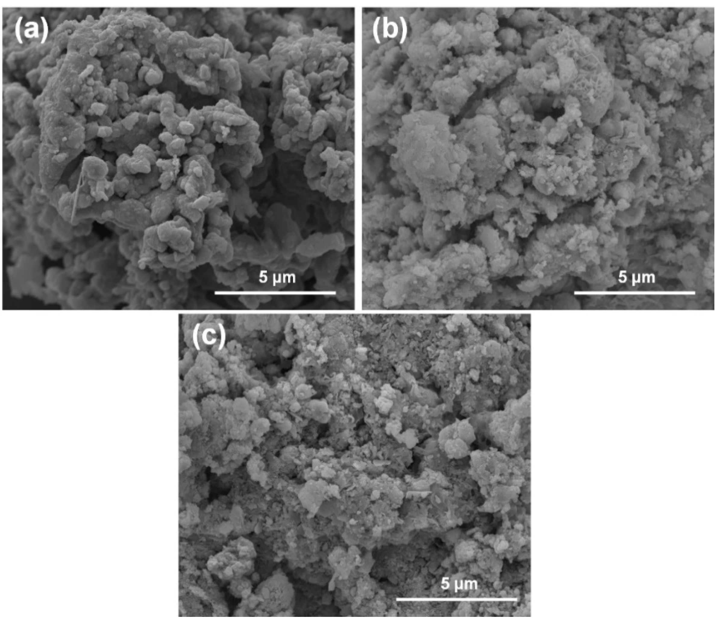 Materials 14 05284 g005