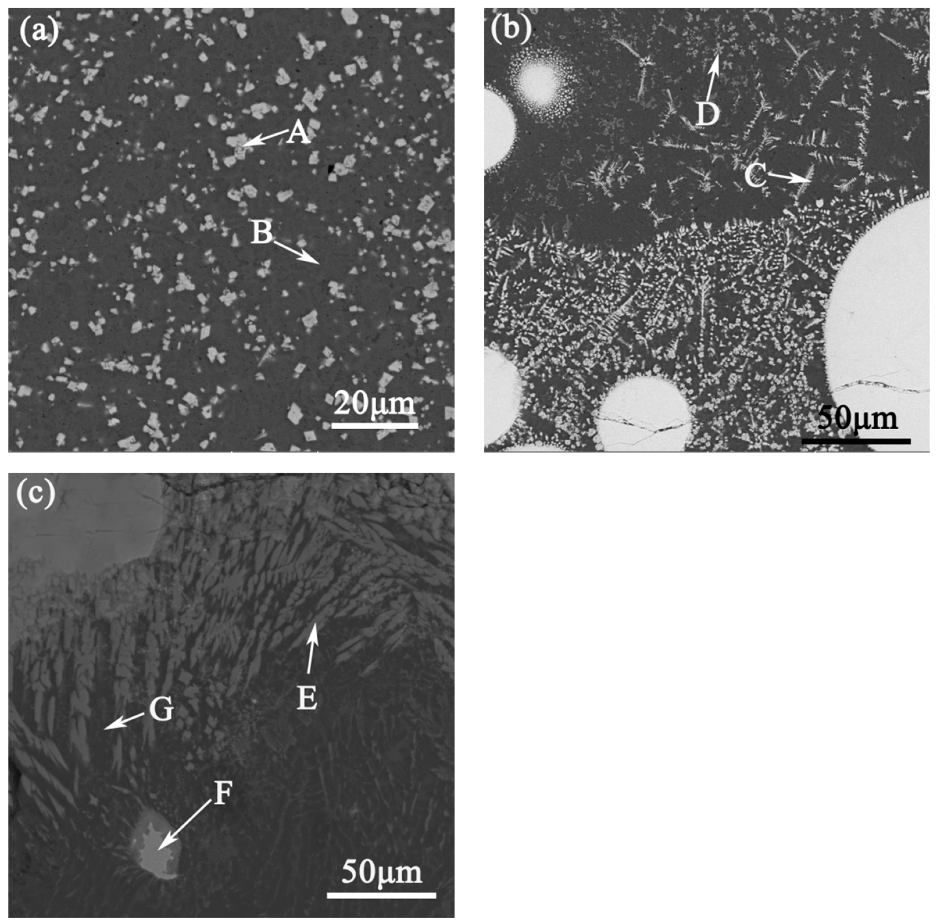 Materials 14 05288 g004 550