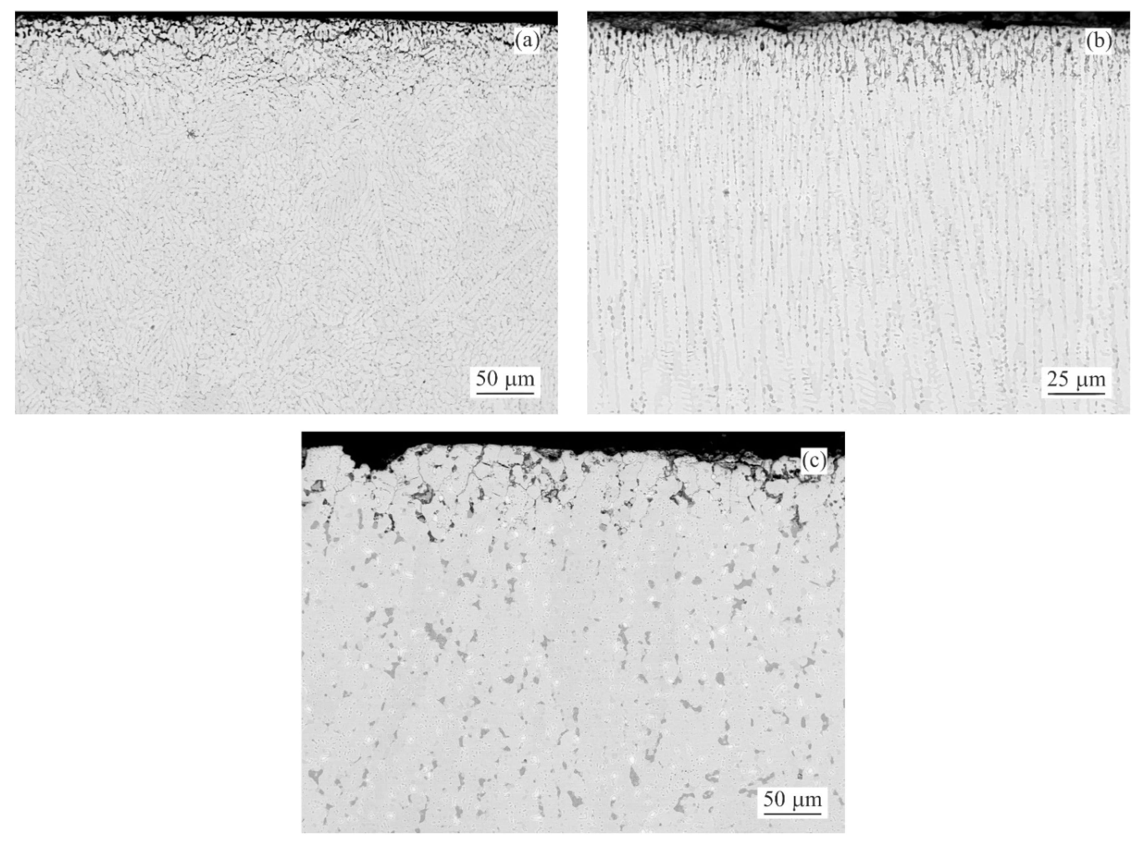 Materials 14 05290 g006