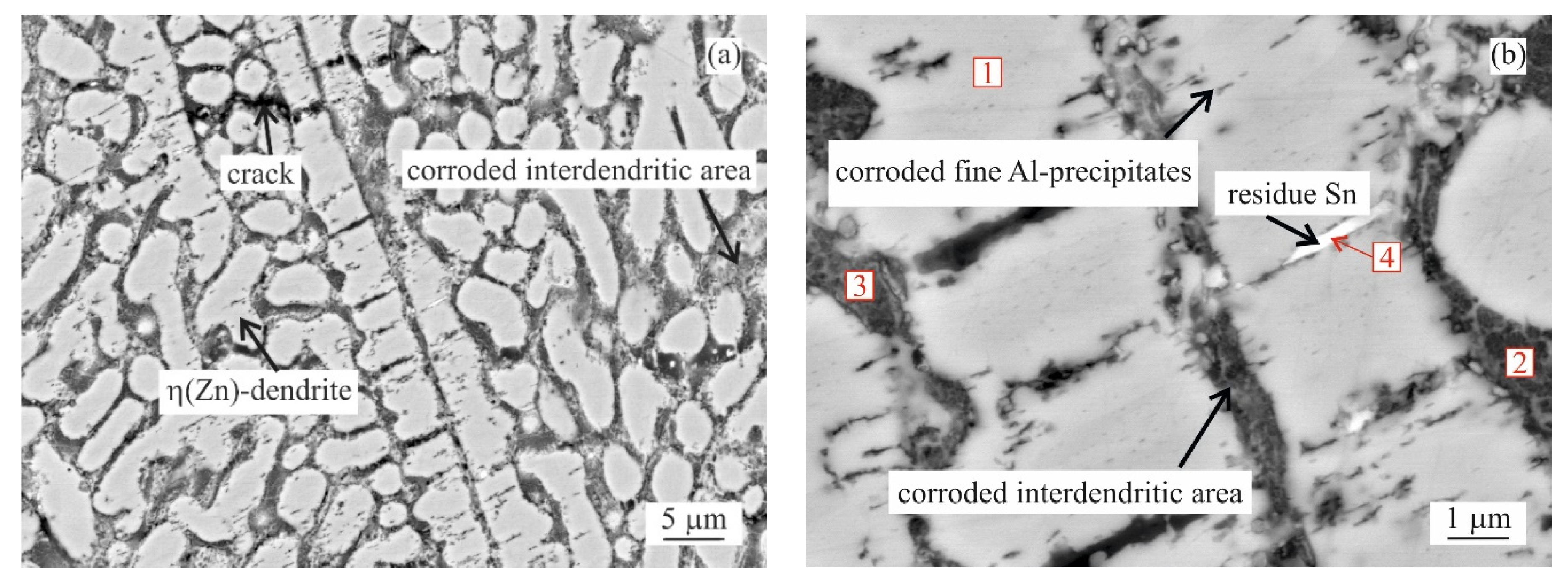 Materials 14 05290 g008