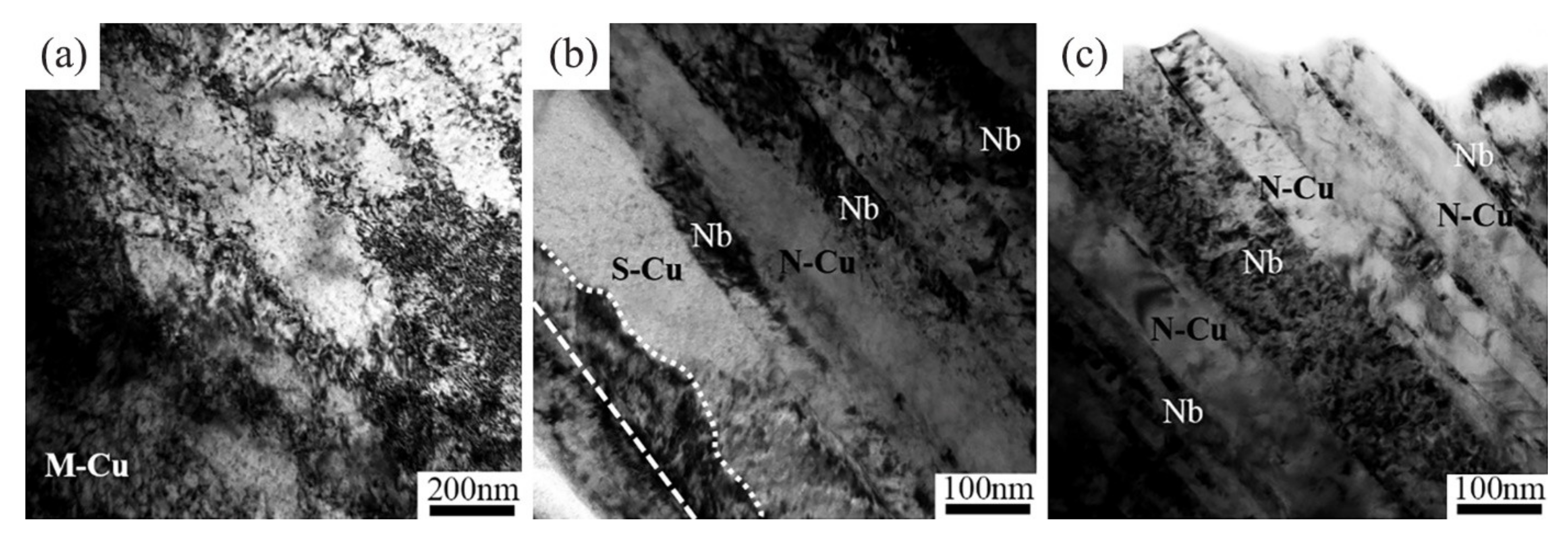 Materials 14 05294 g004 550
