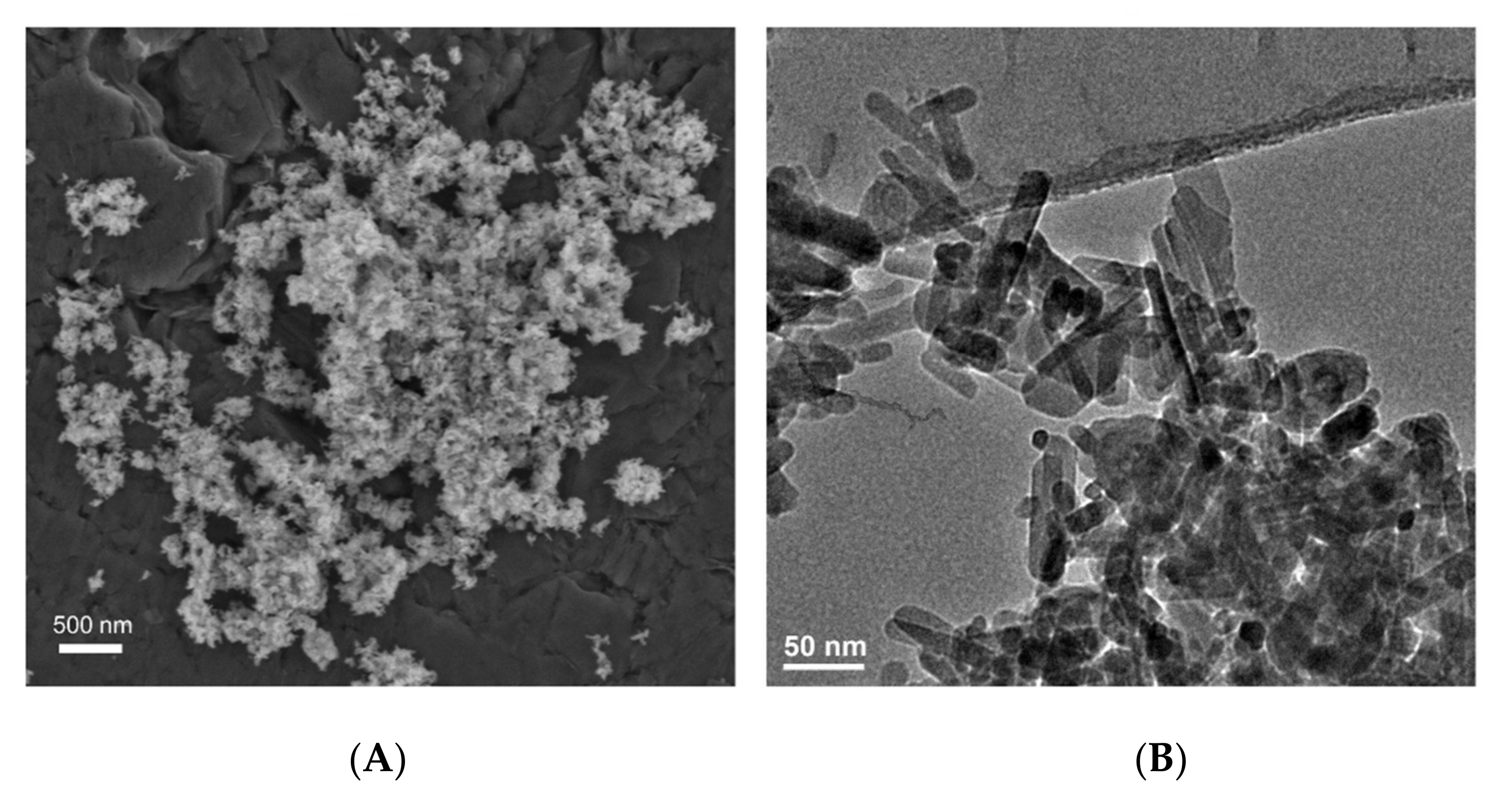 Materials 14 05296 g002