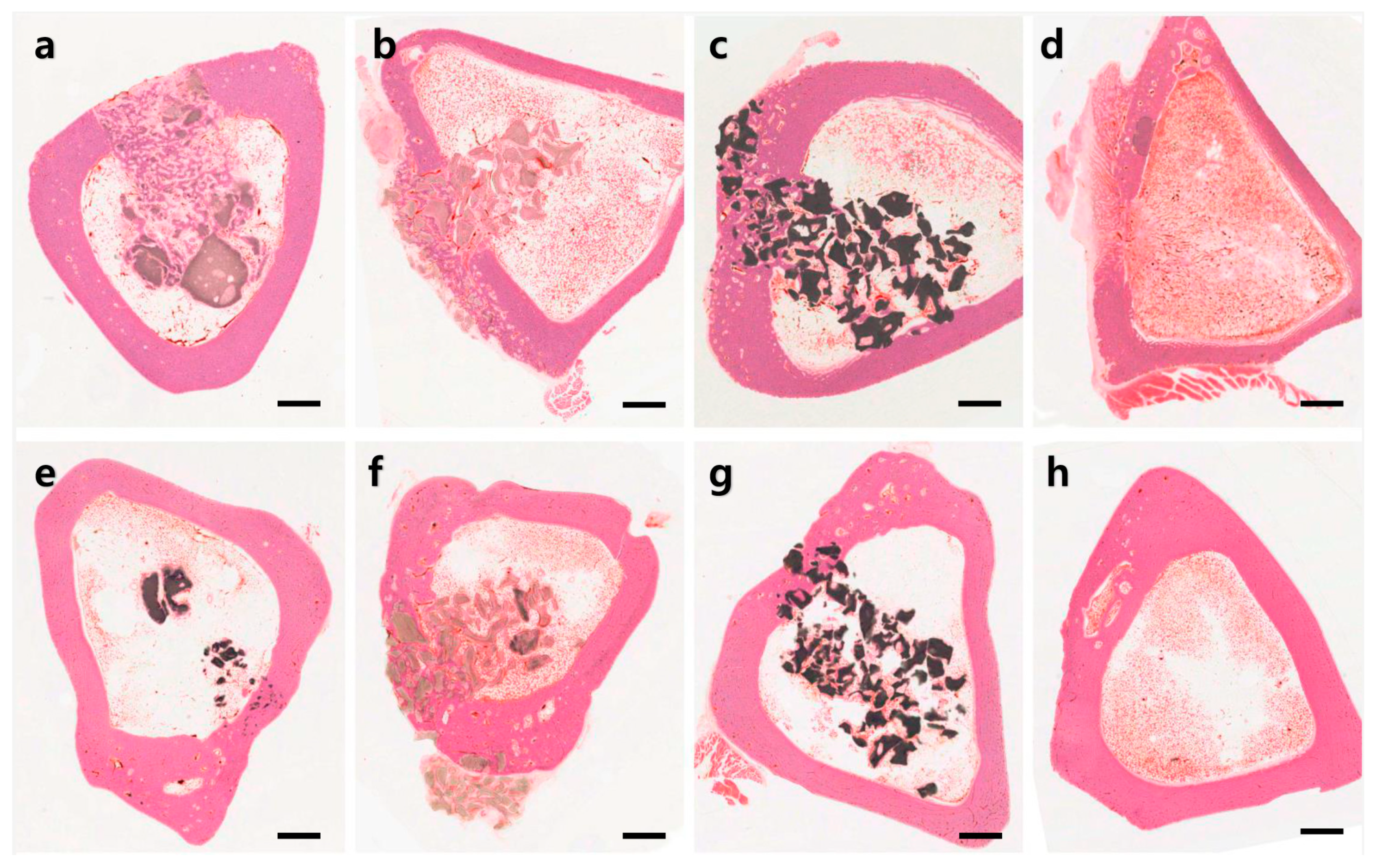 Materials 14 05300 g003 550