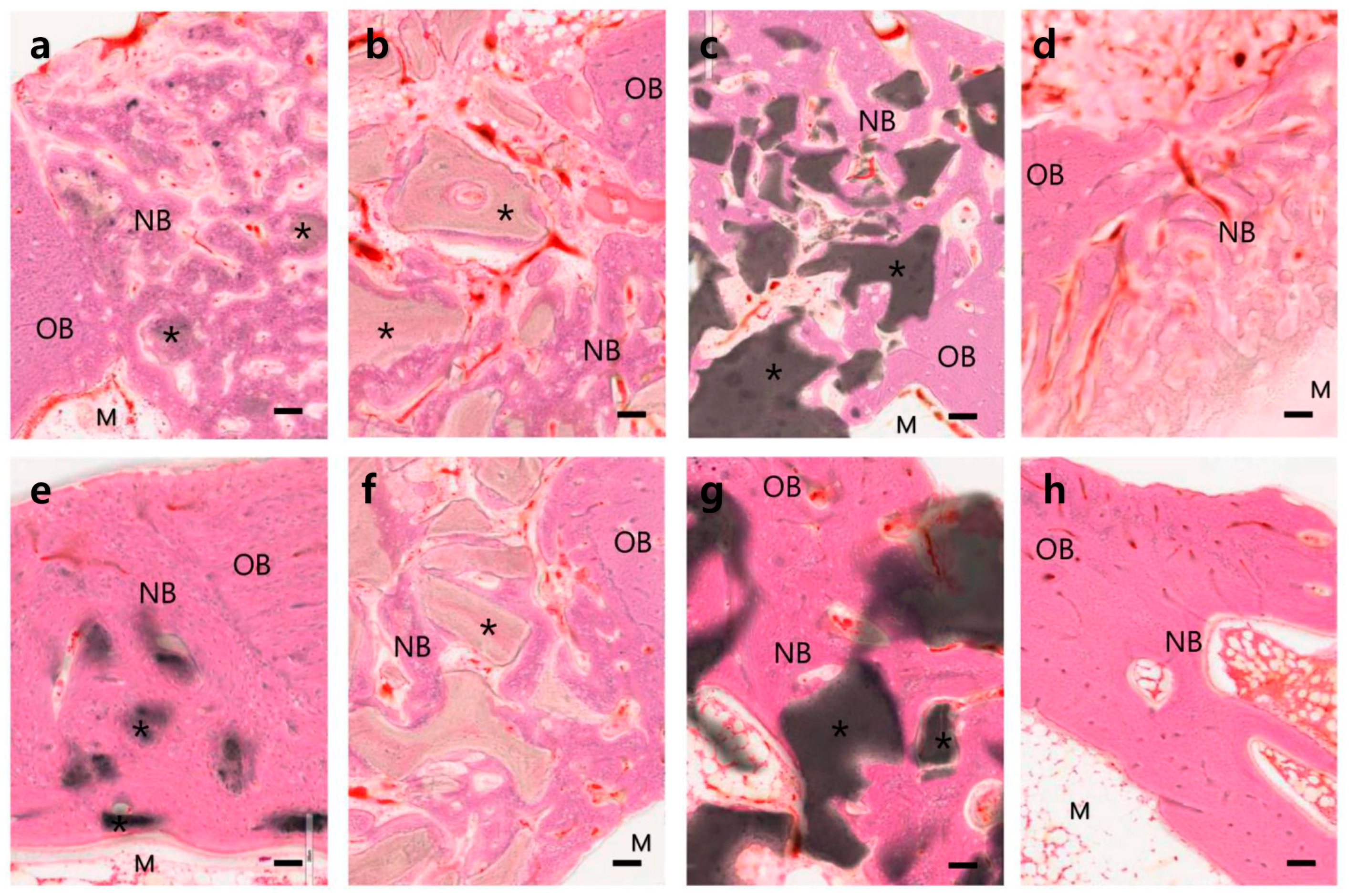 Materials 14 05300 g005 550