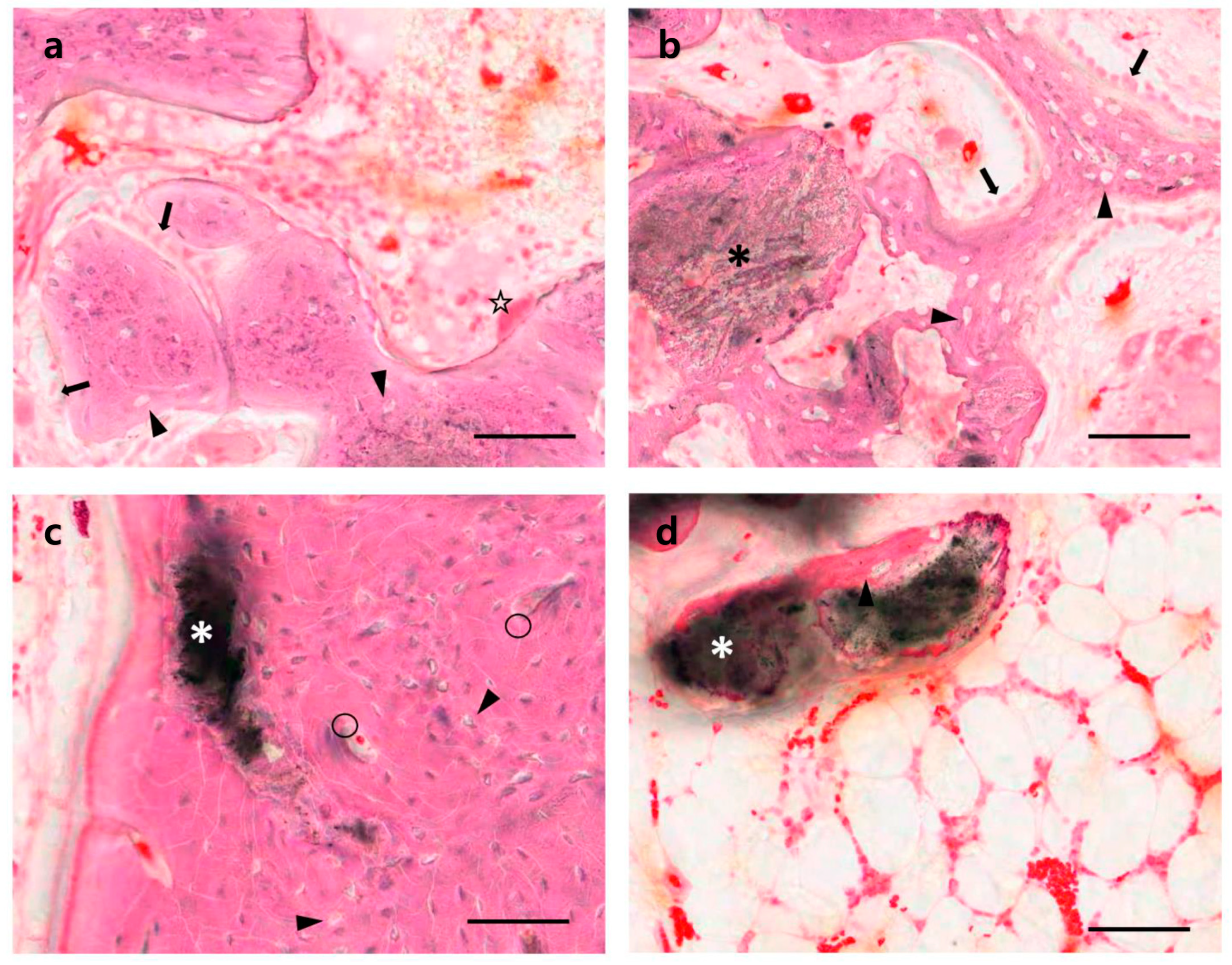 Materials 14 05300 g006 550