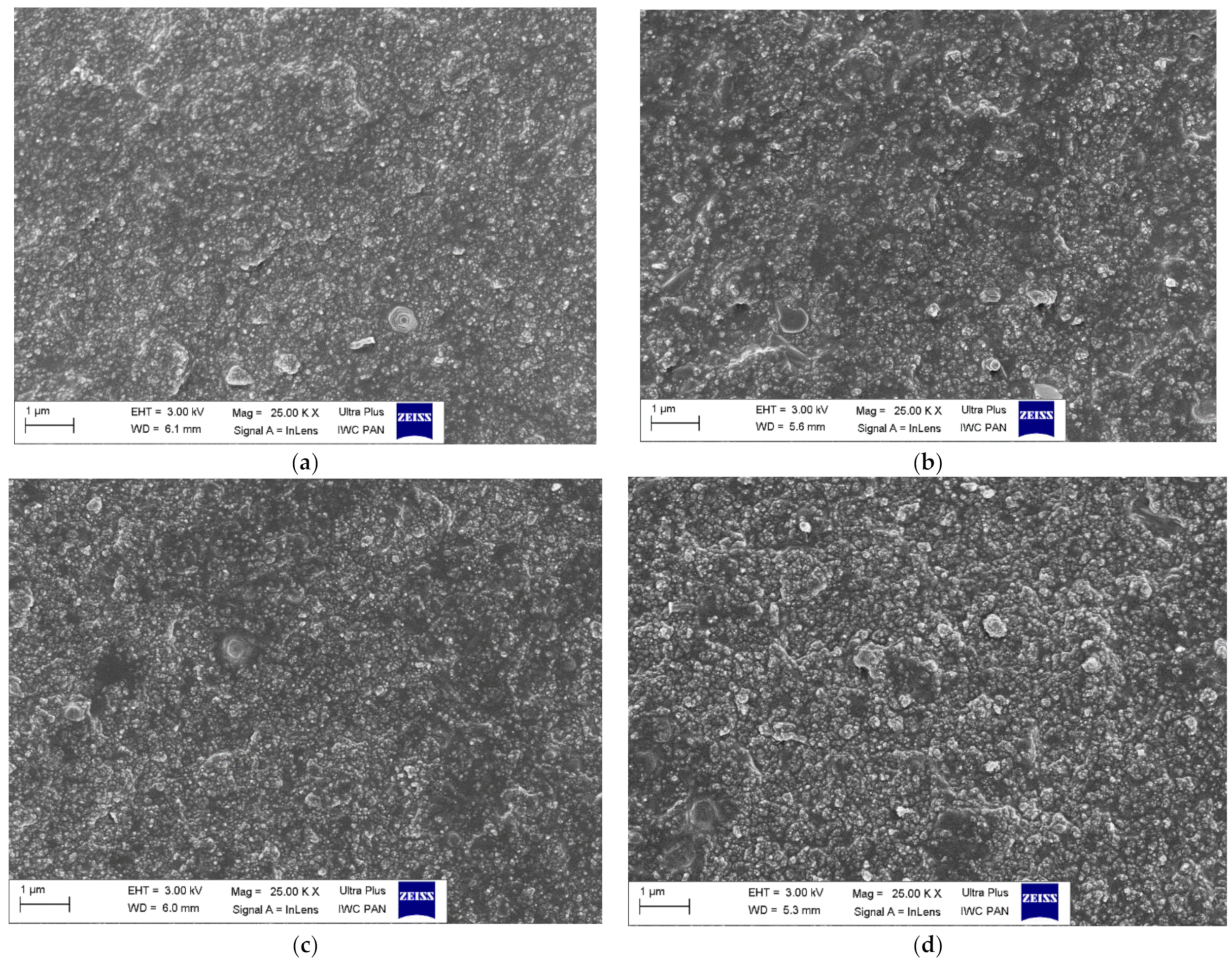 Materials 14 05302 g004