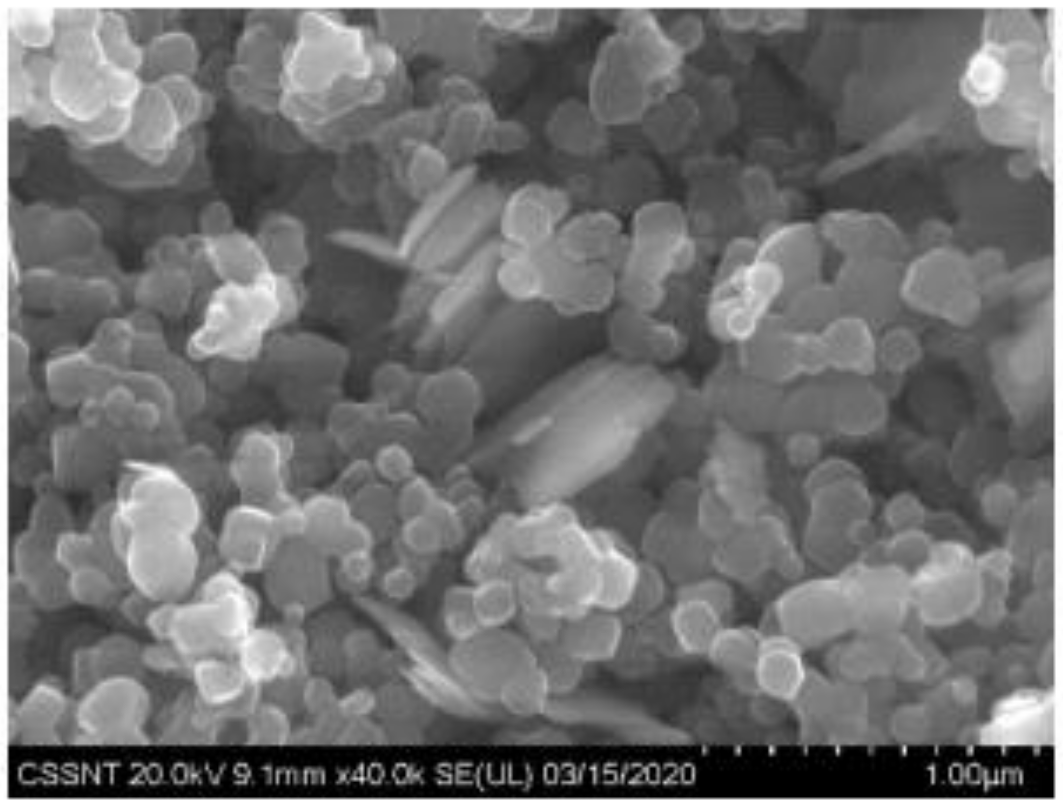 Materials 14 05307 g007