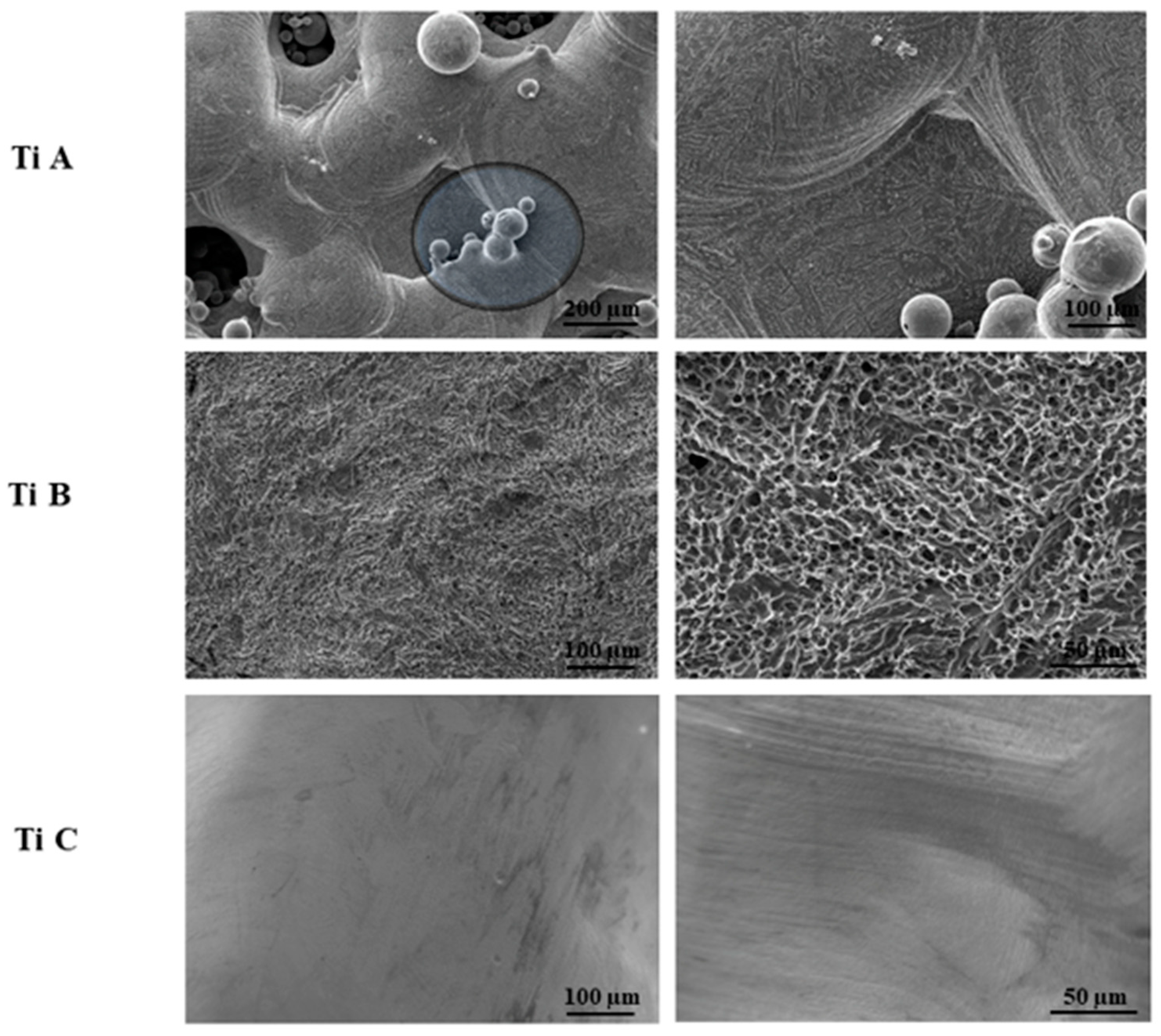 Materials 14 05308 g001