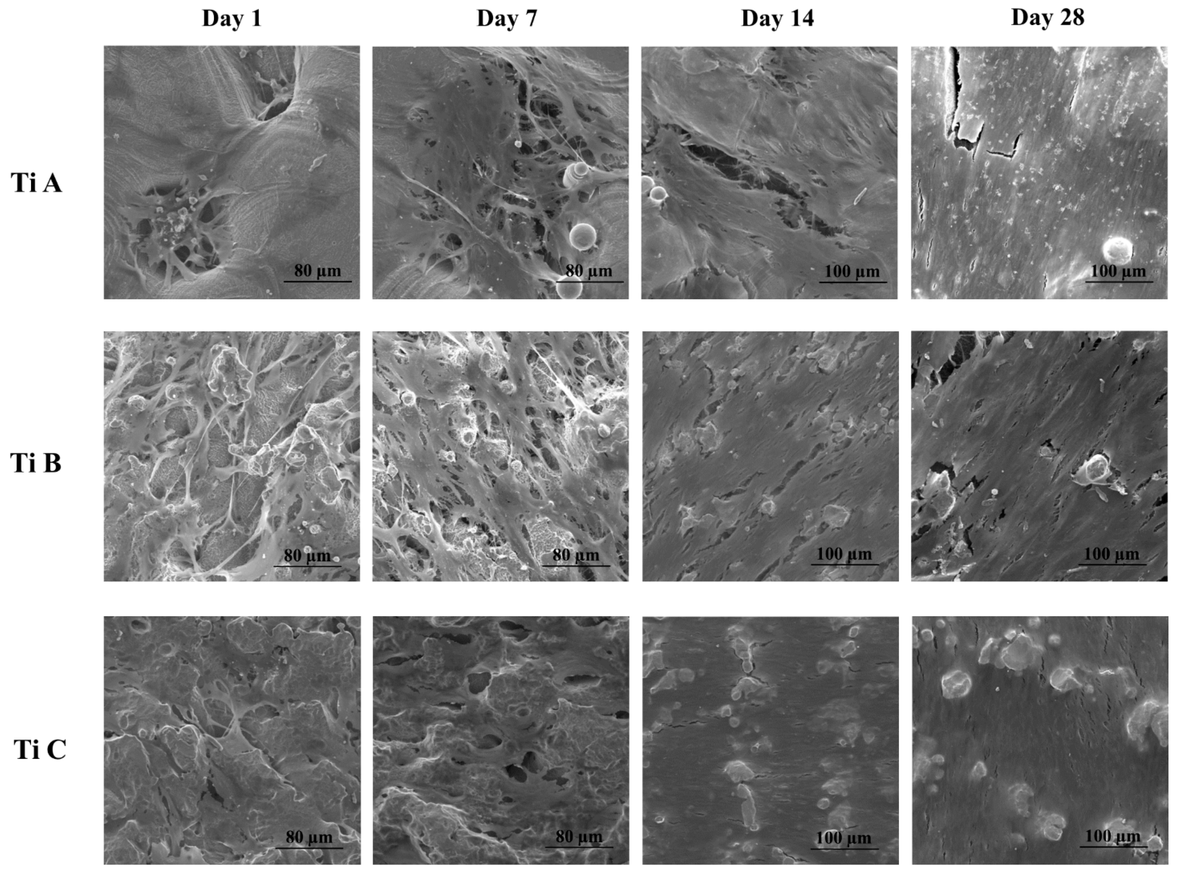 Materials 14 05308 g002