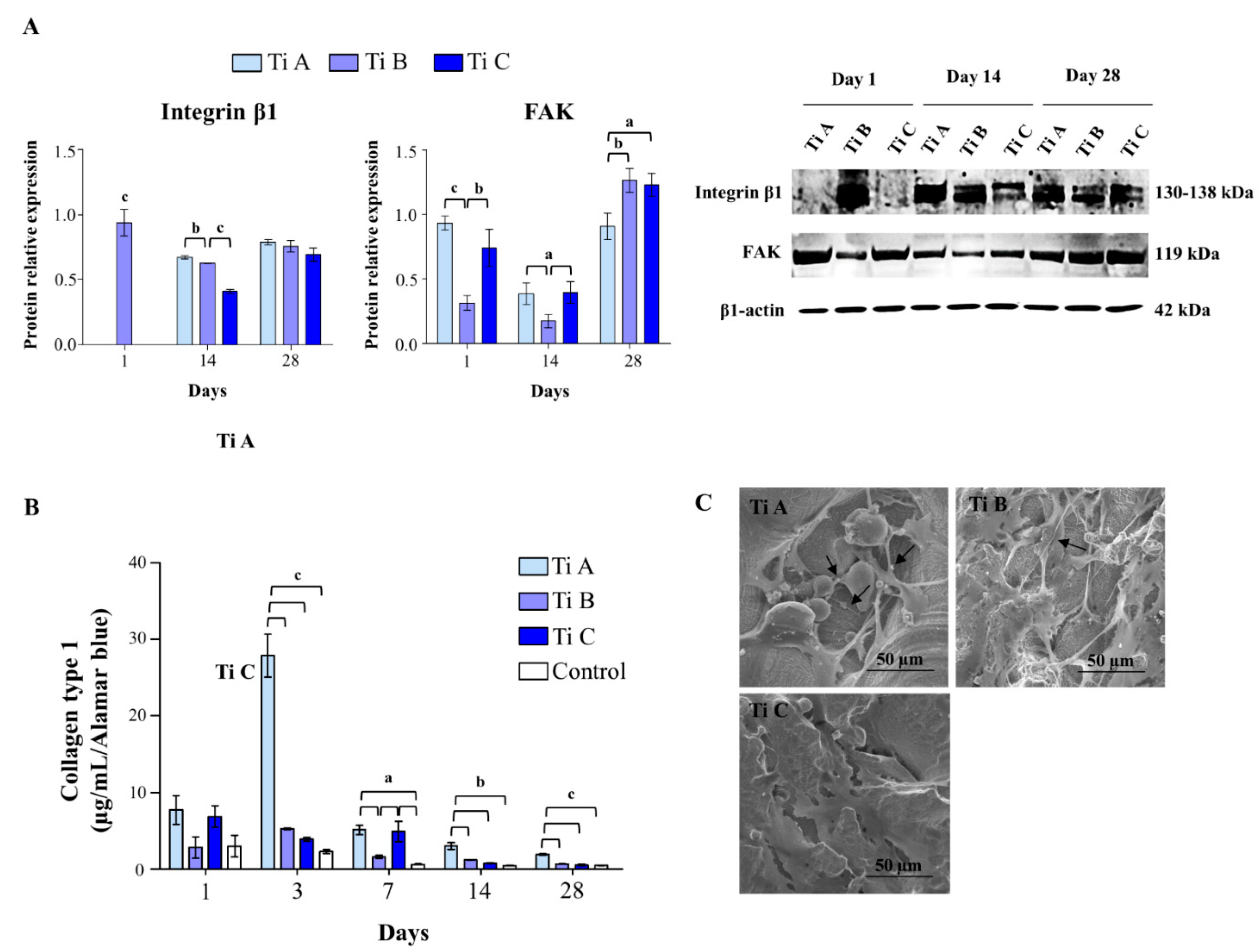 Materials 14 05308 g004