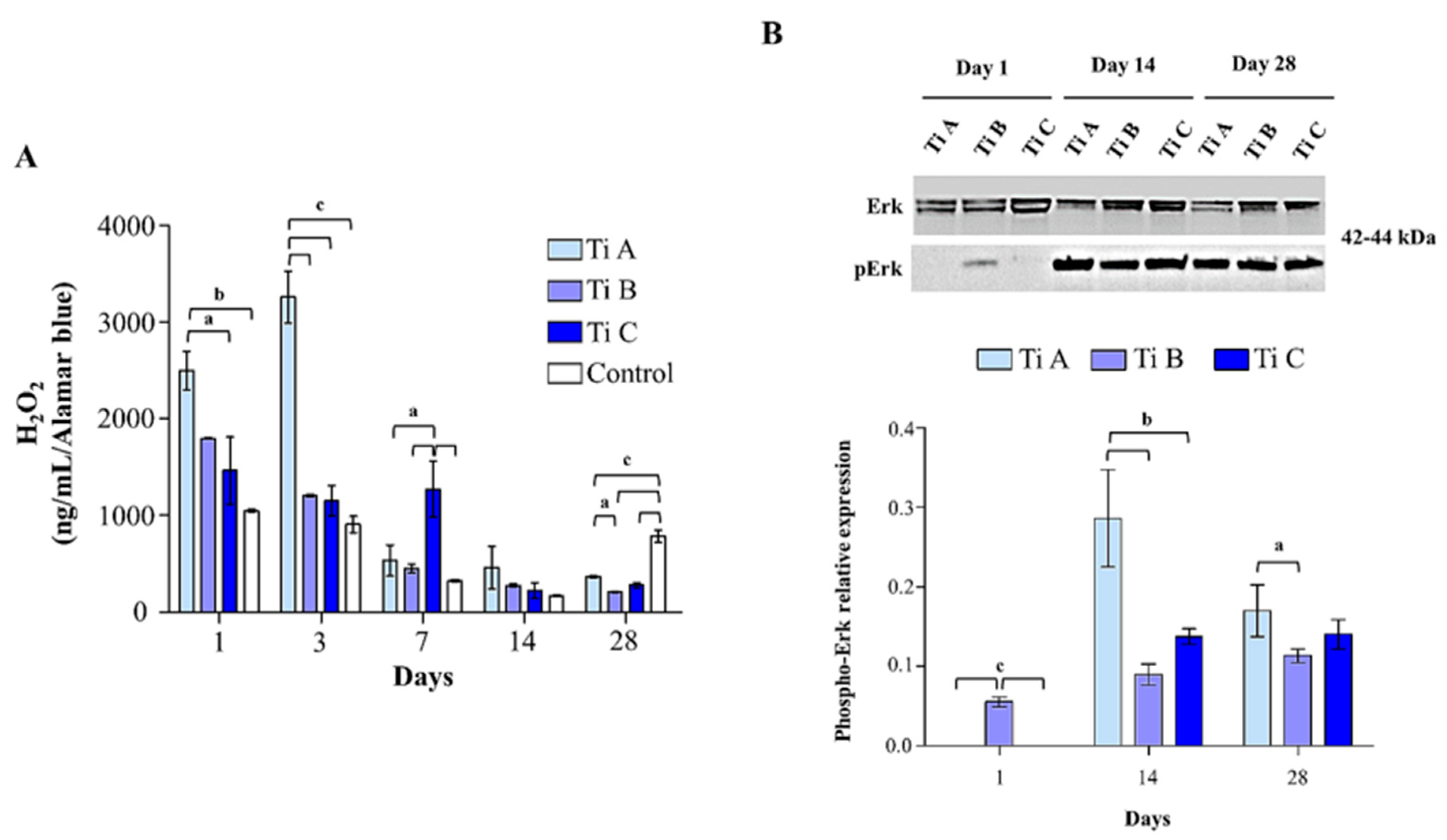 Materials 14 05308 g006