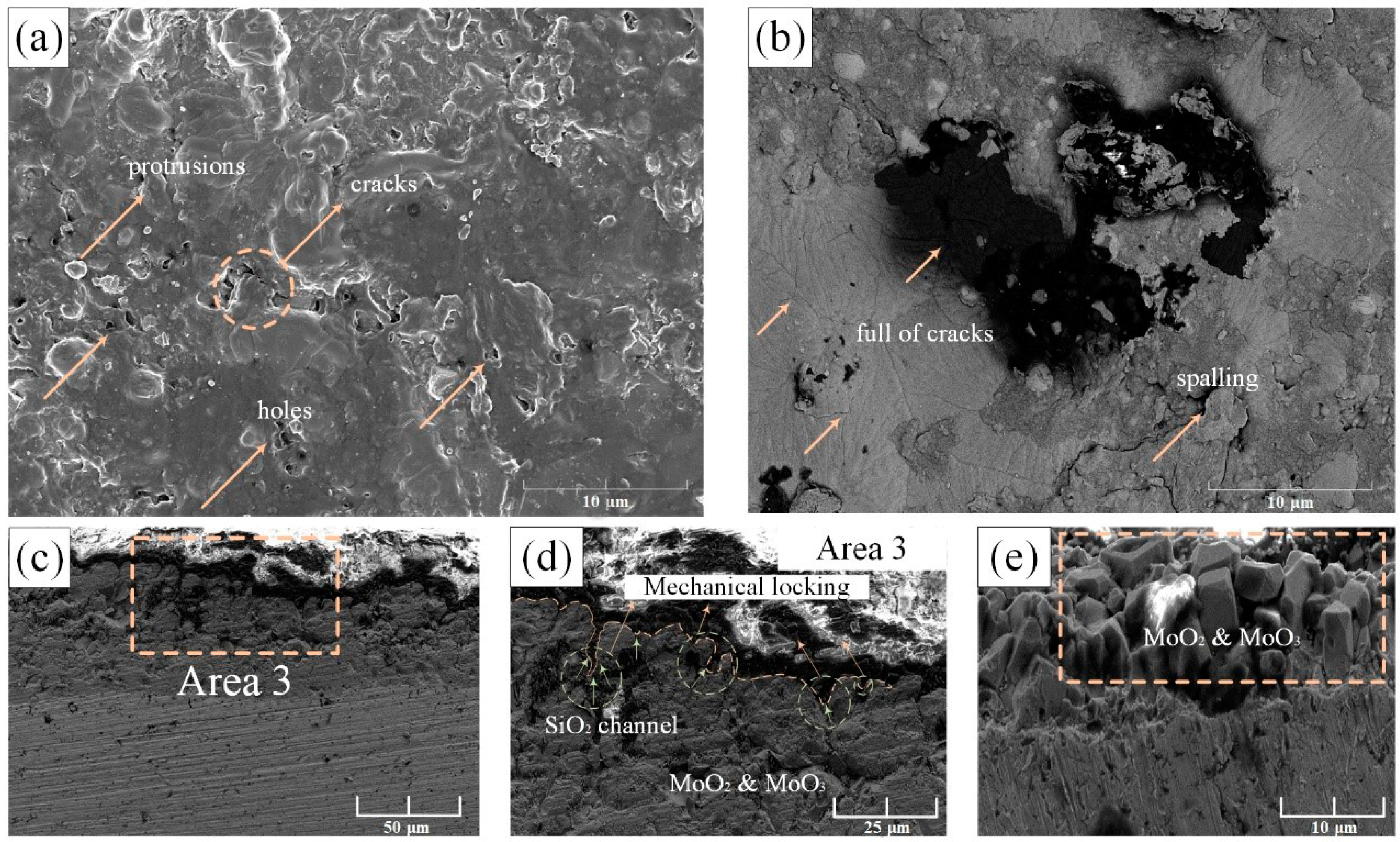 Materials 14 05309 g005 550