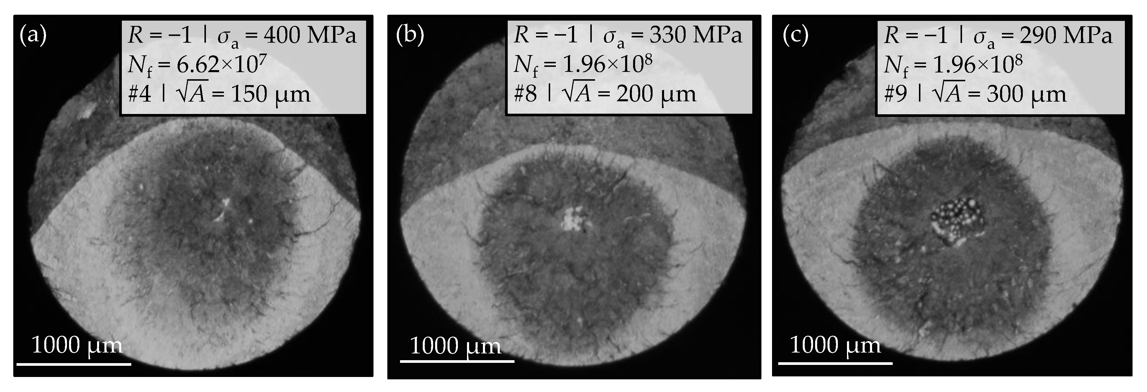 Materials 14 05315 g007 Materials 14 05315 g007