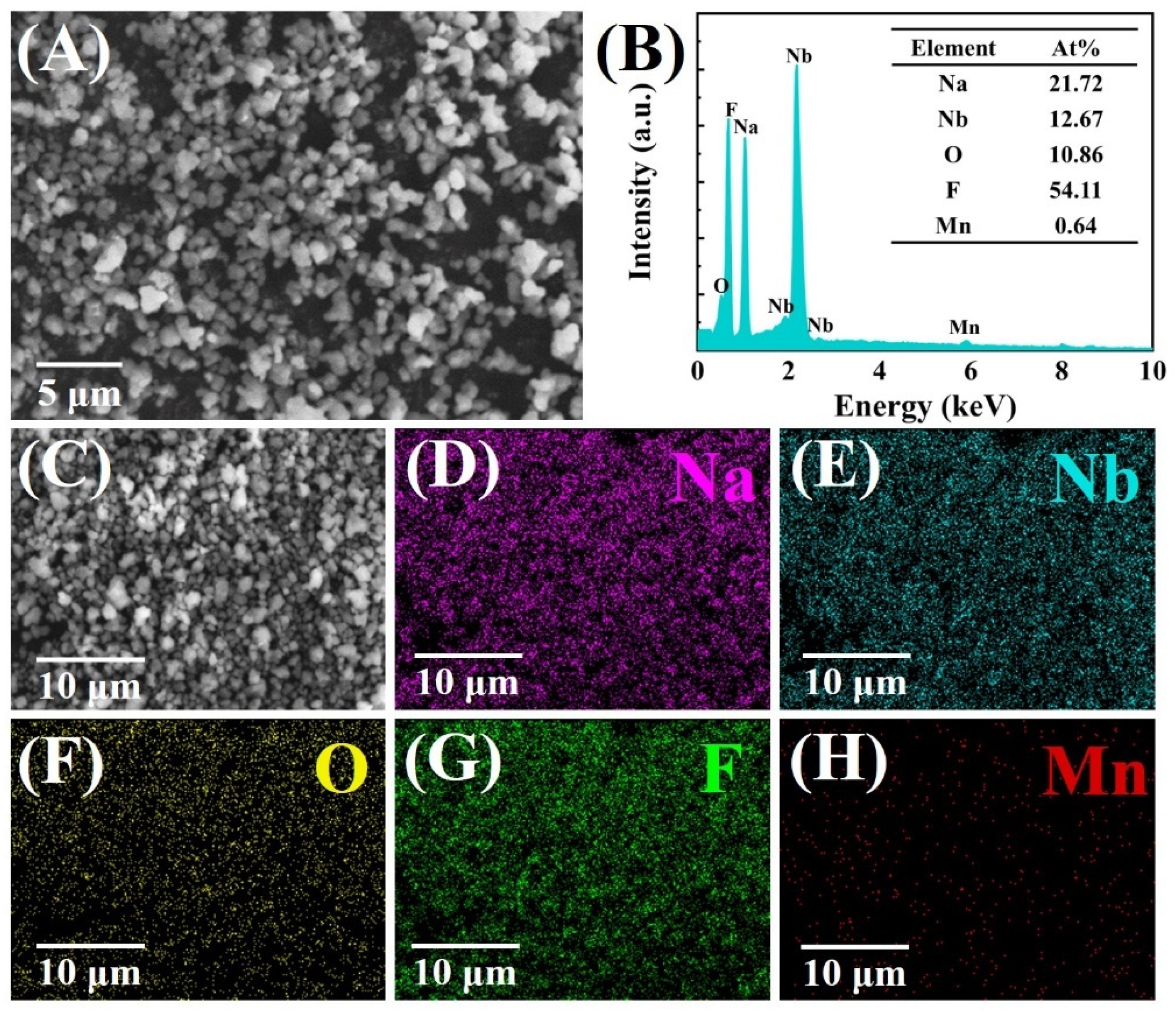 Materials 14 05317 g004 550