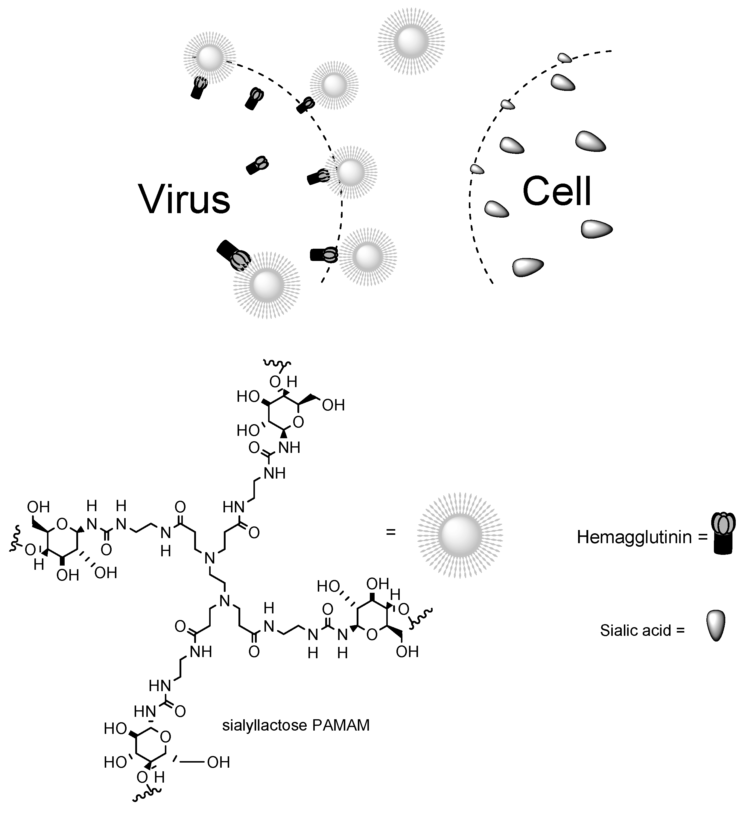 Materials 14 05318 g008 550