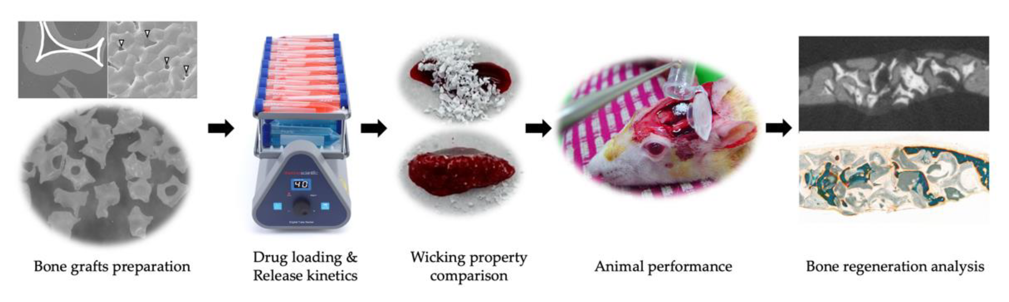 Materials 14 05320 g001