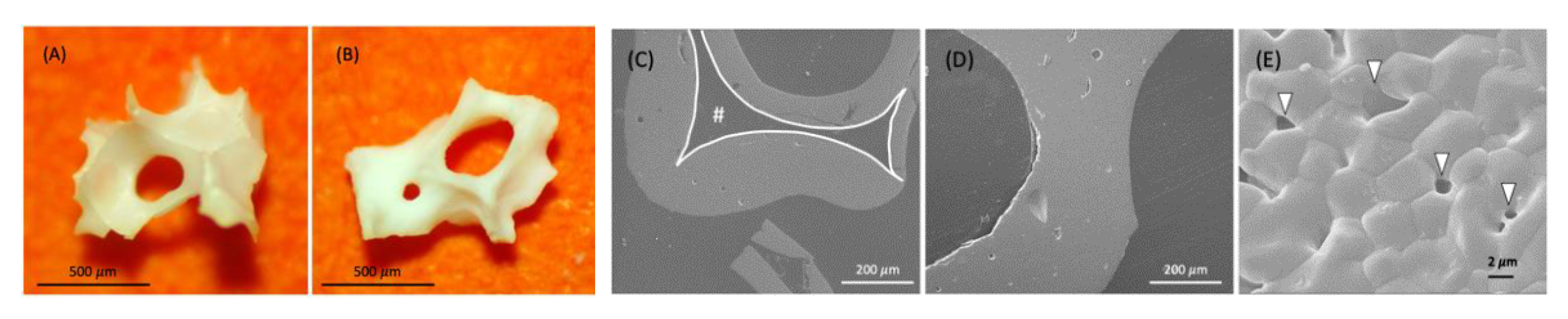 Materials 14 05320 g002