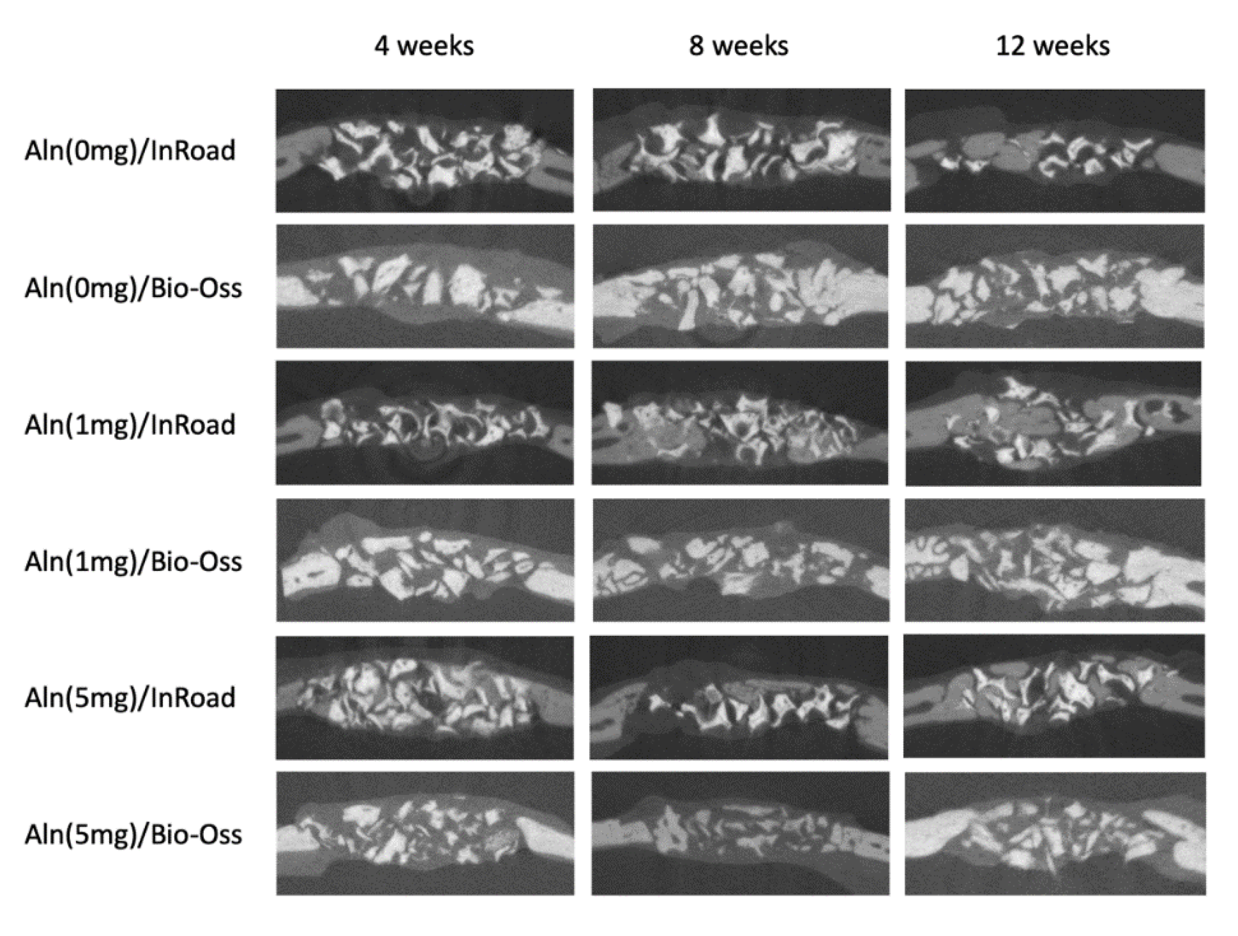 Materials 14 05320 g006