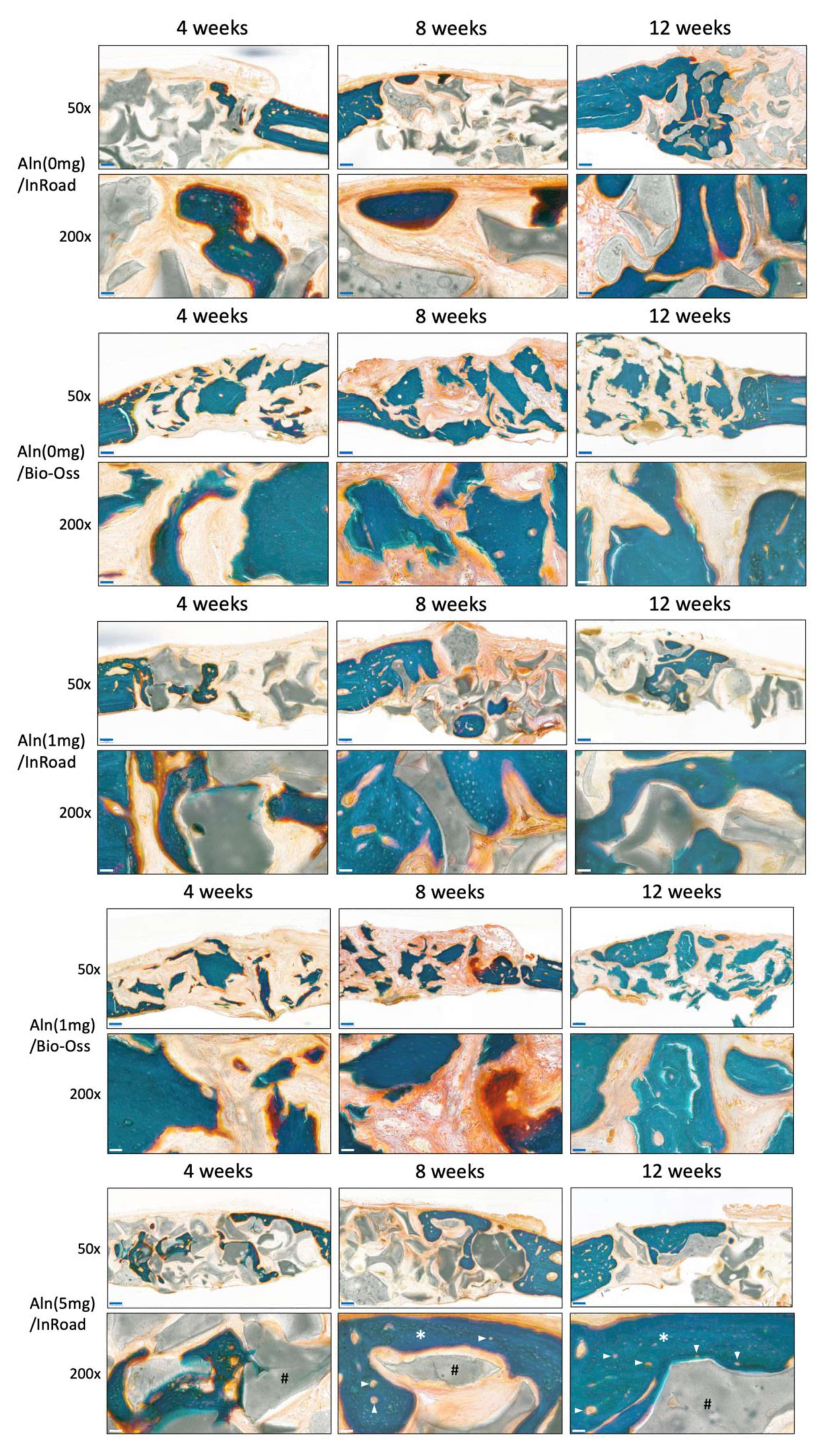 Materials 14 05320 g008a