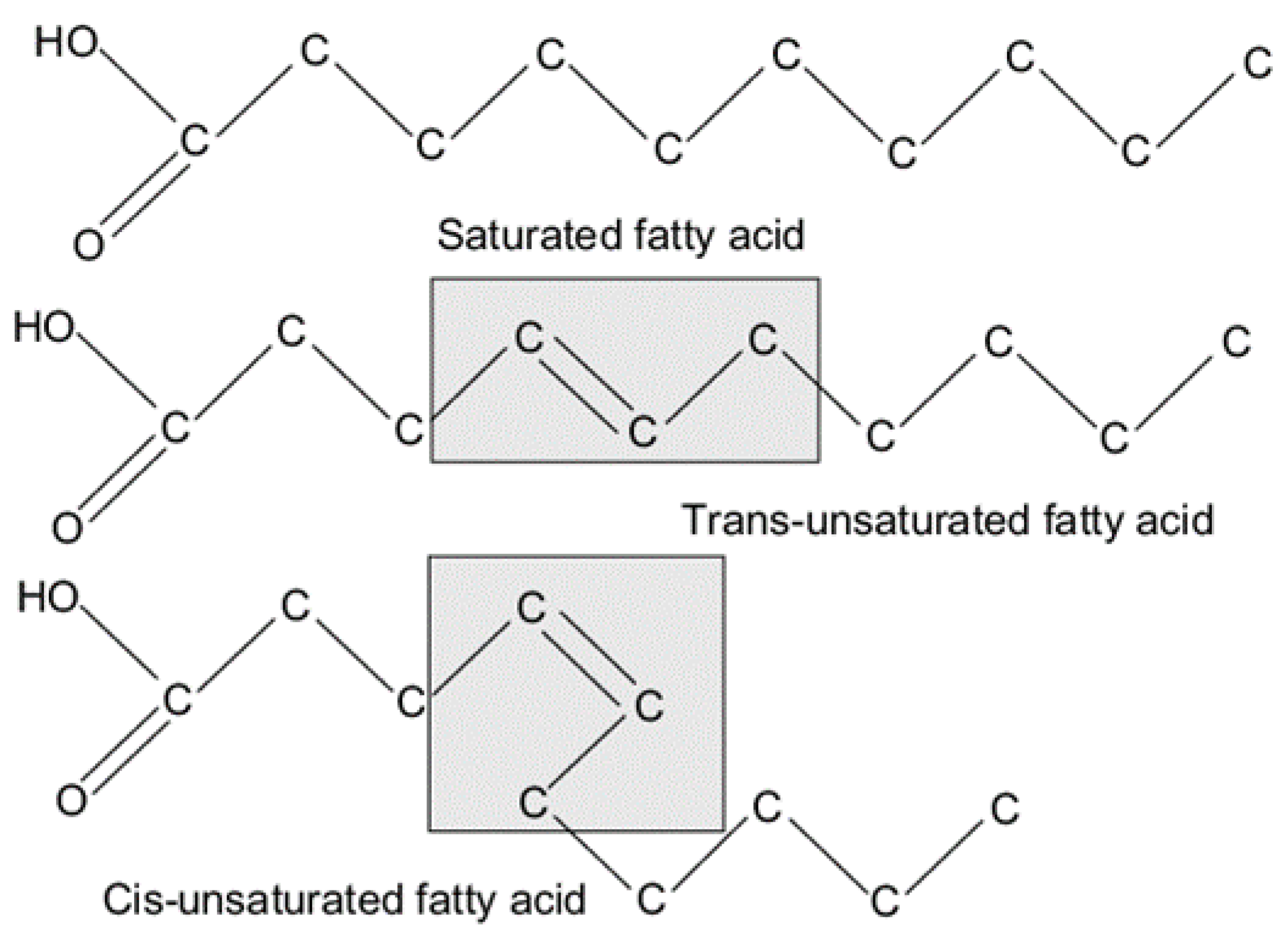 Materials 14 05328 g003