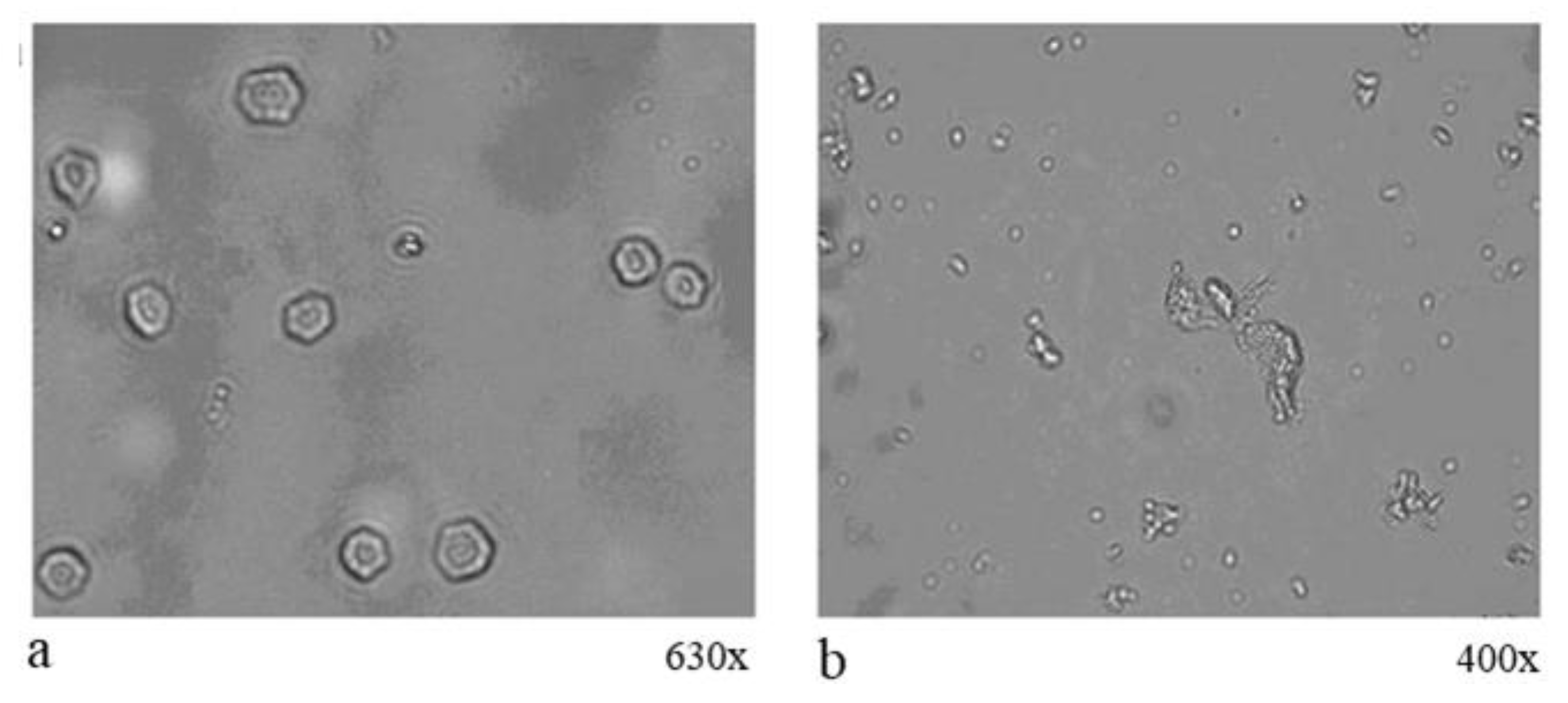 Materials 14 05328 g004