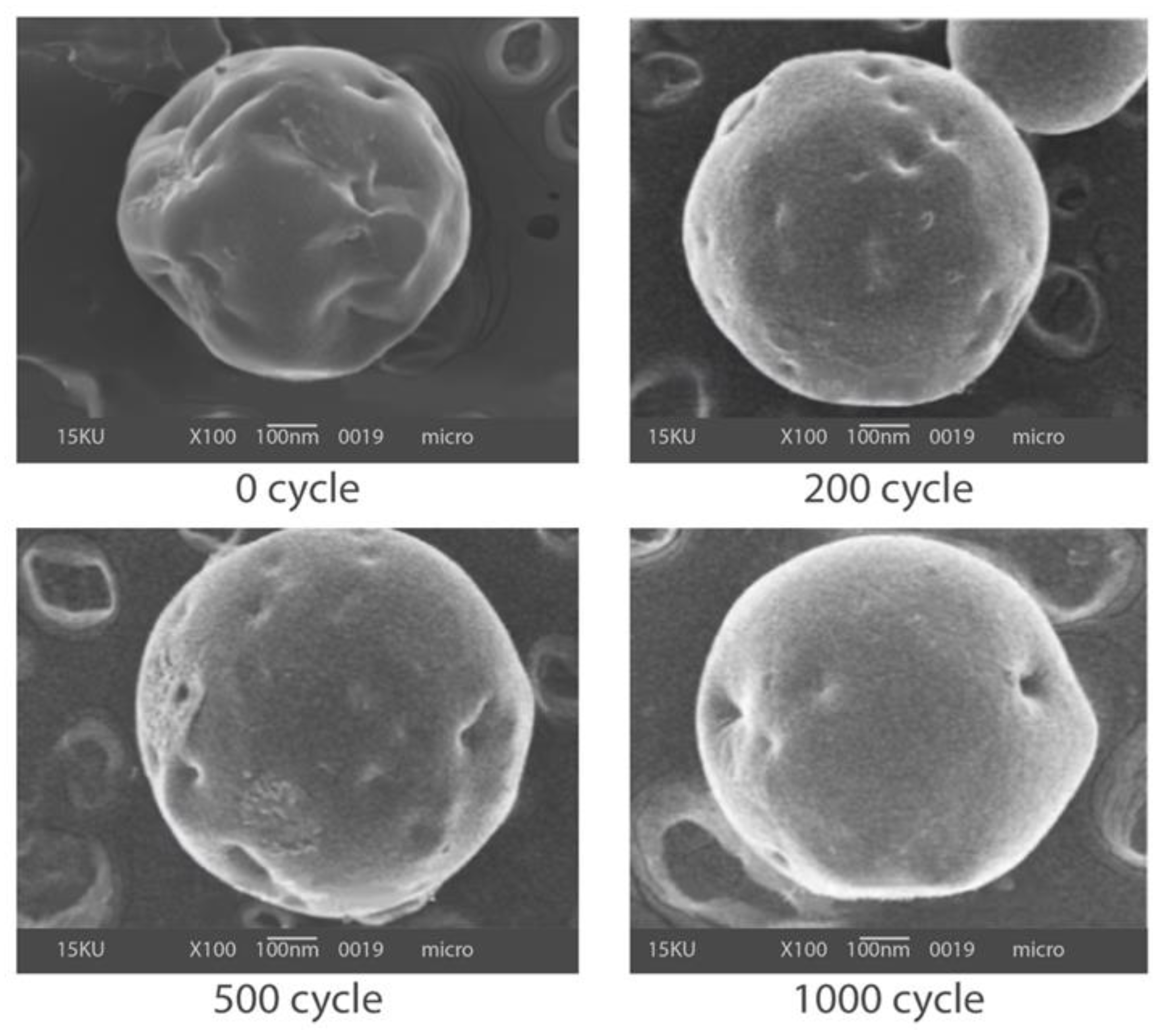 Materials 14 05328 g005