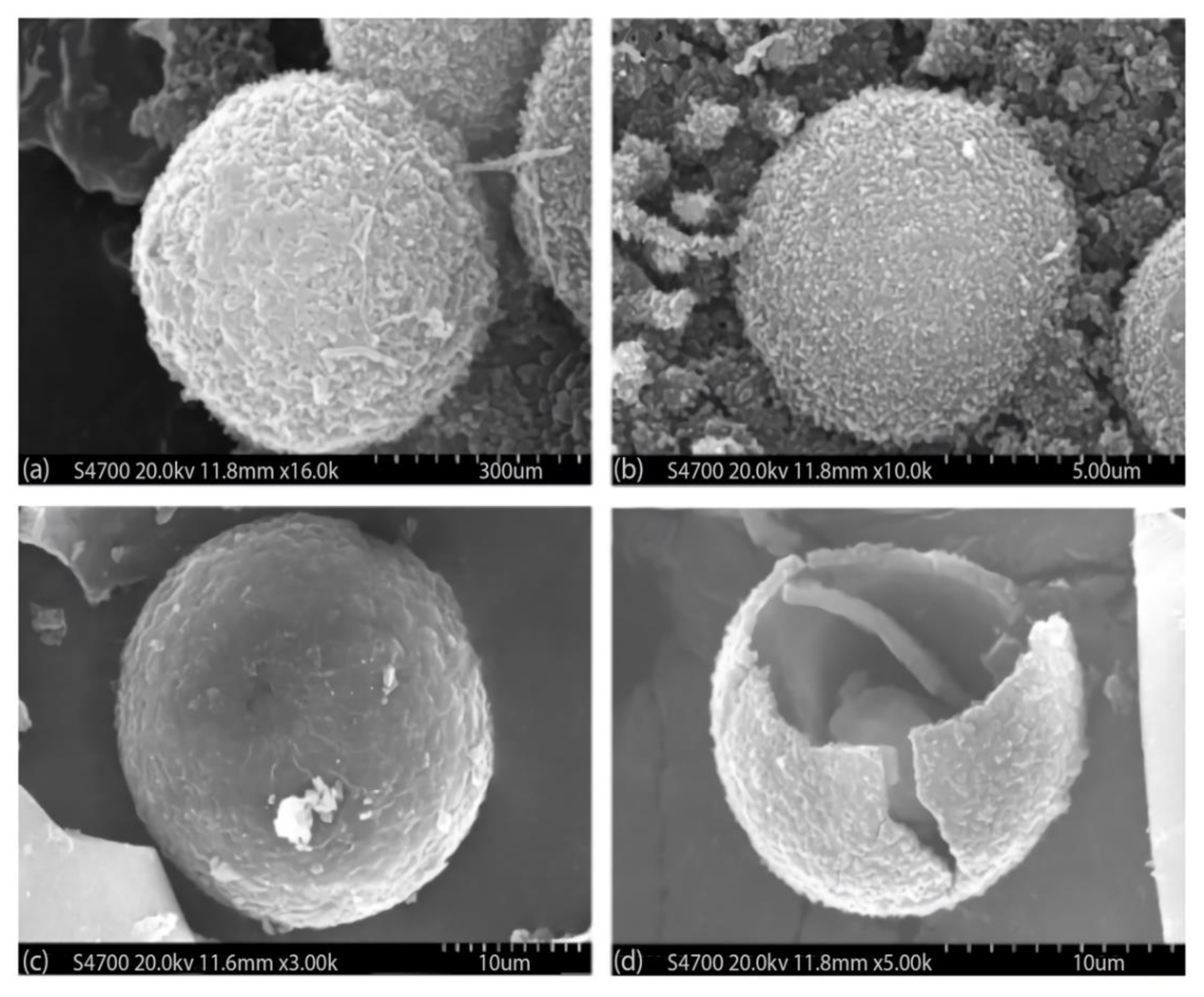 Materials 14 05328 g012