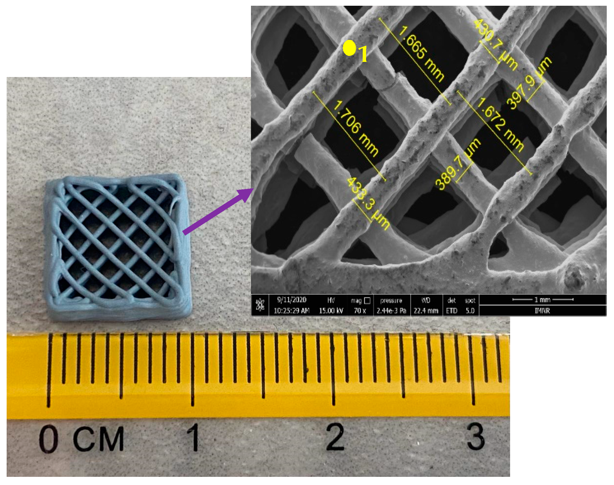 Materials 14 05330 g011 550