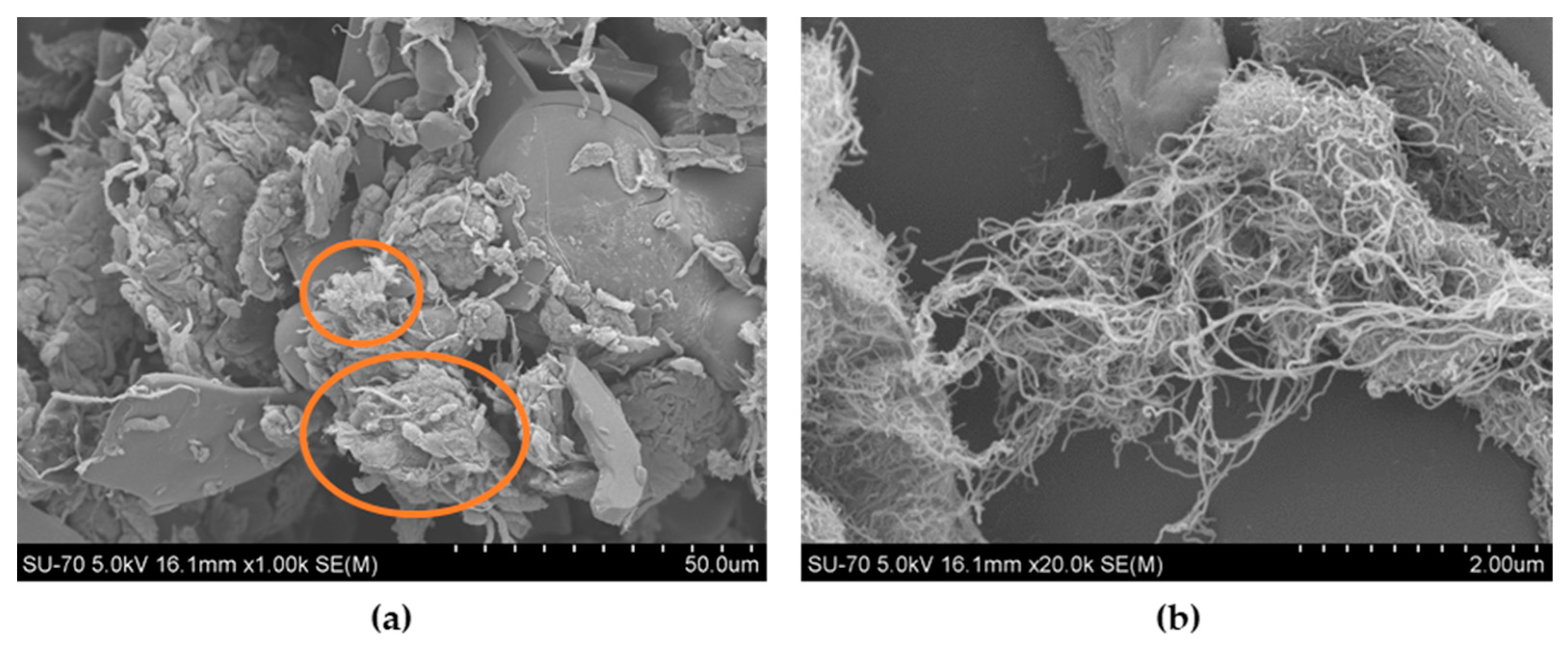 Materials 14 05331 g005