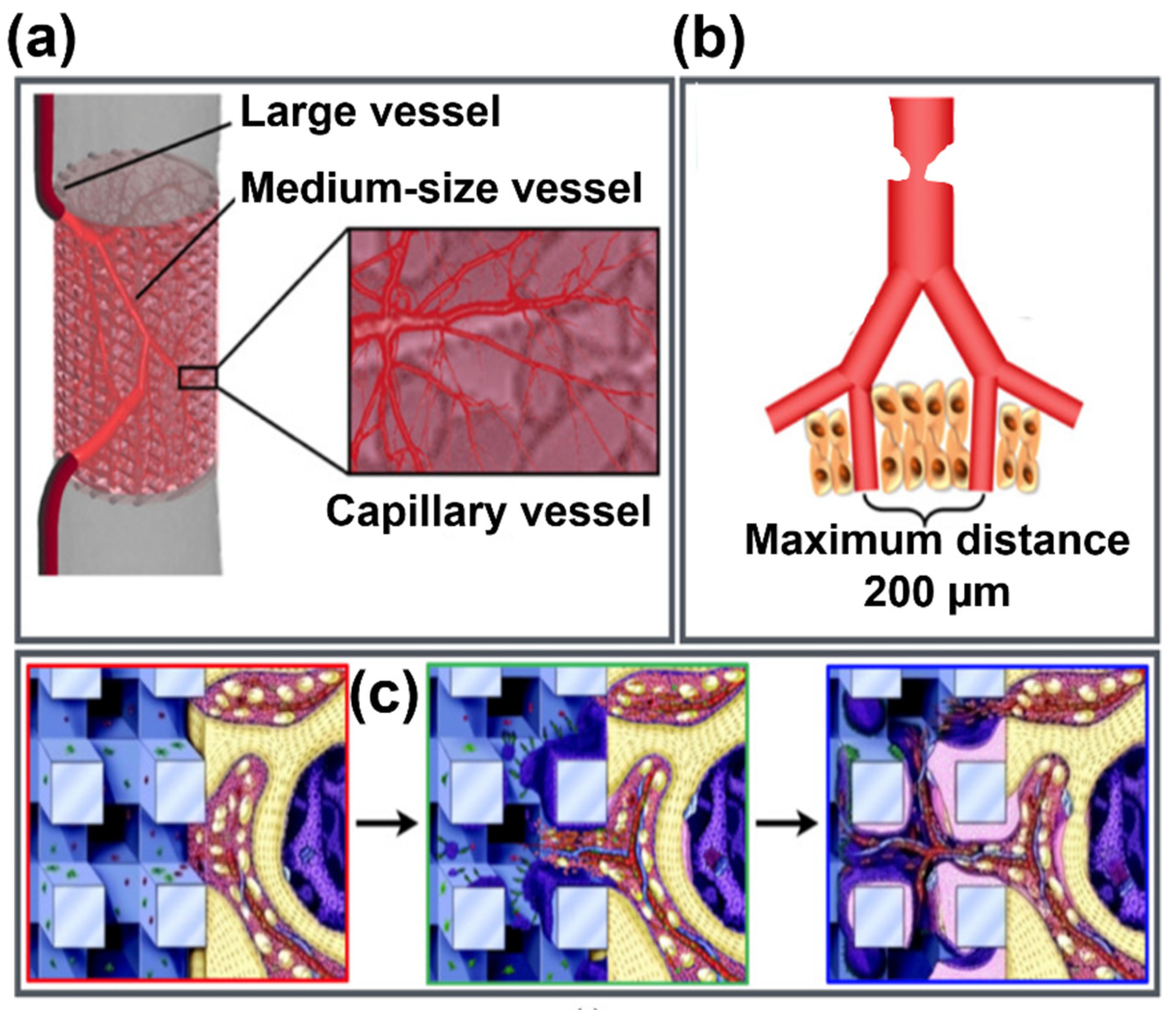 Materials 14 05338 g007 550