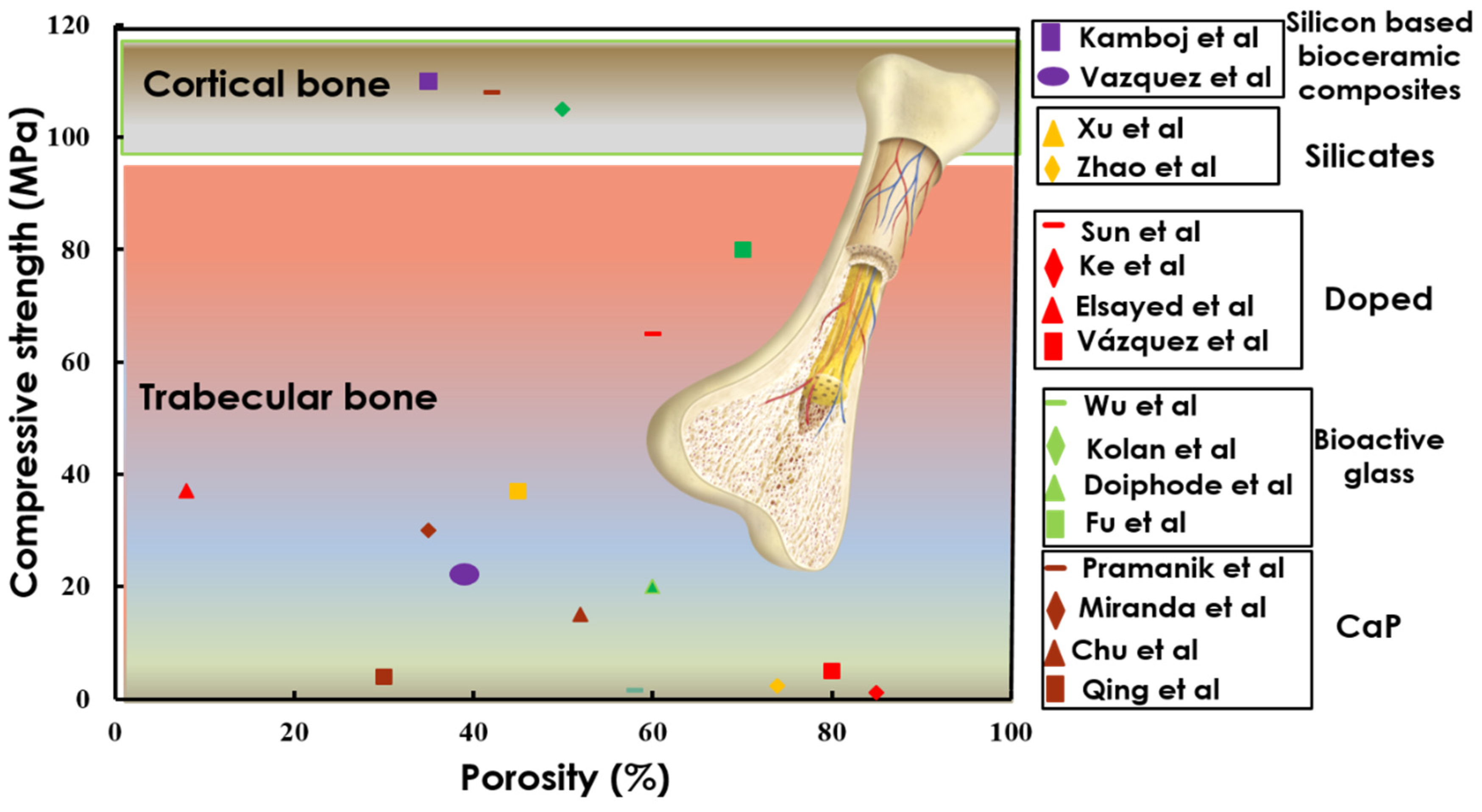 Materials 14 05338 g008 550