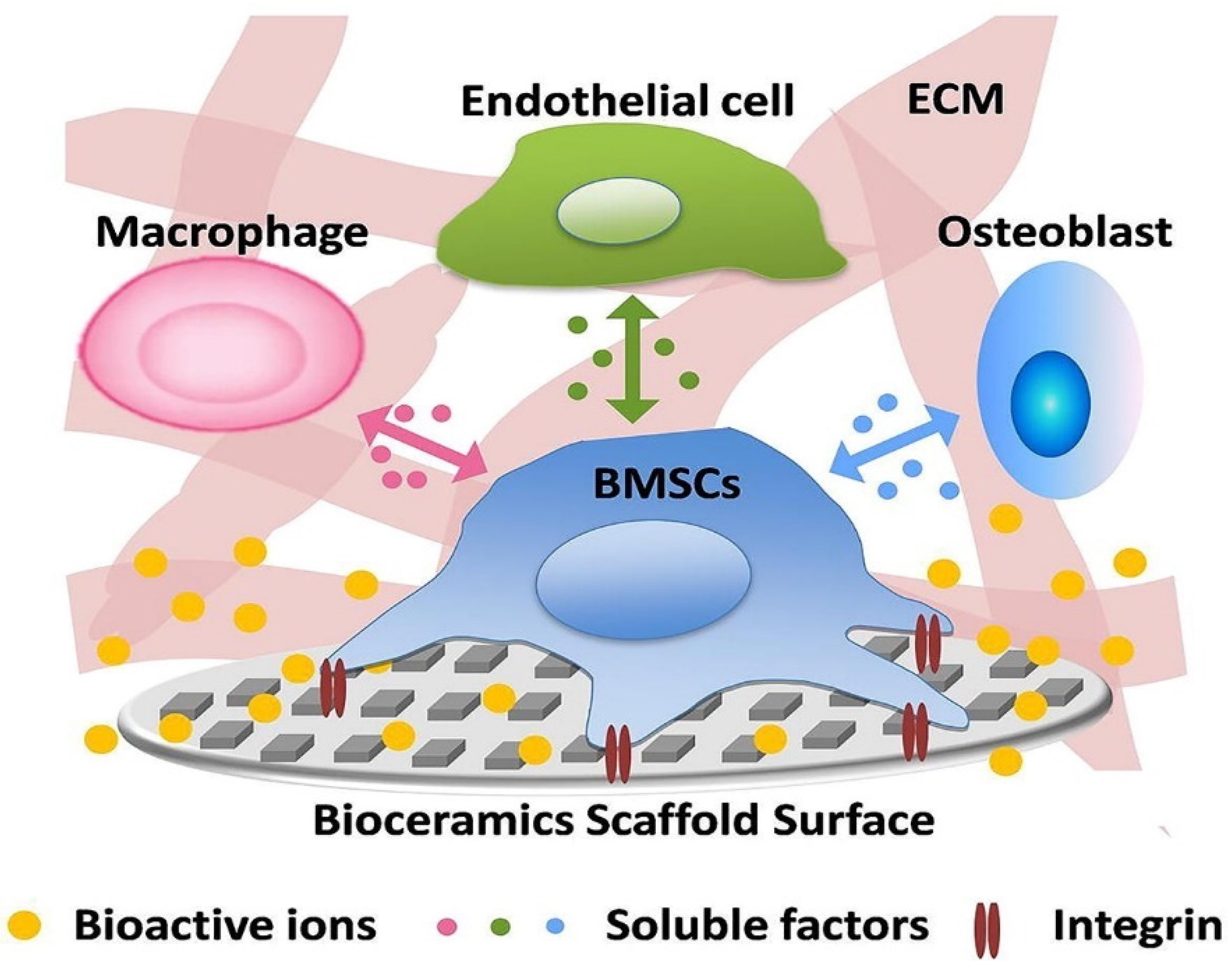 Materials 14 05338 g009 550