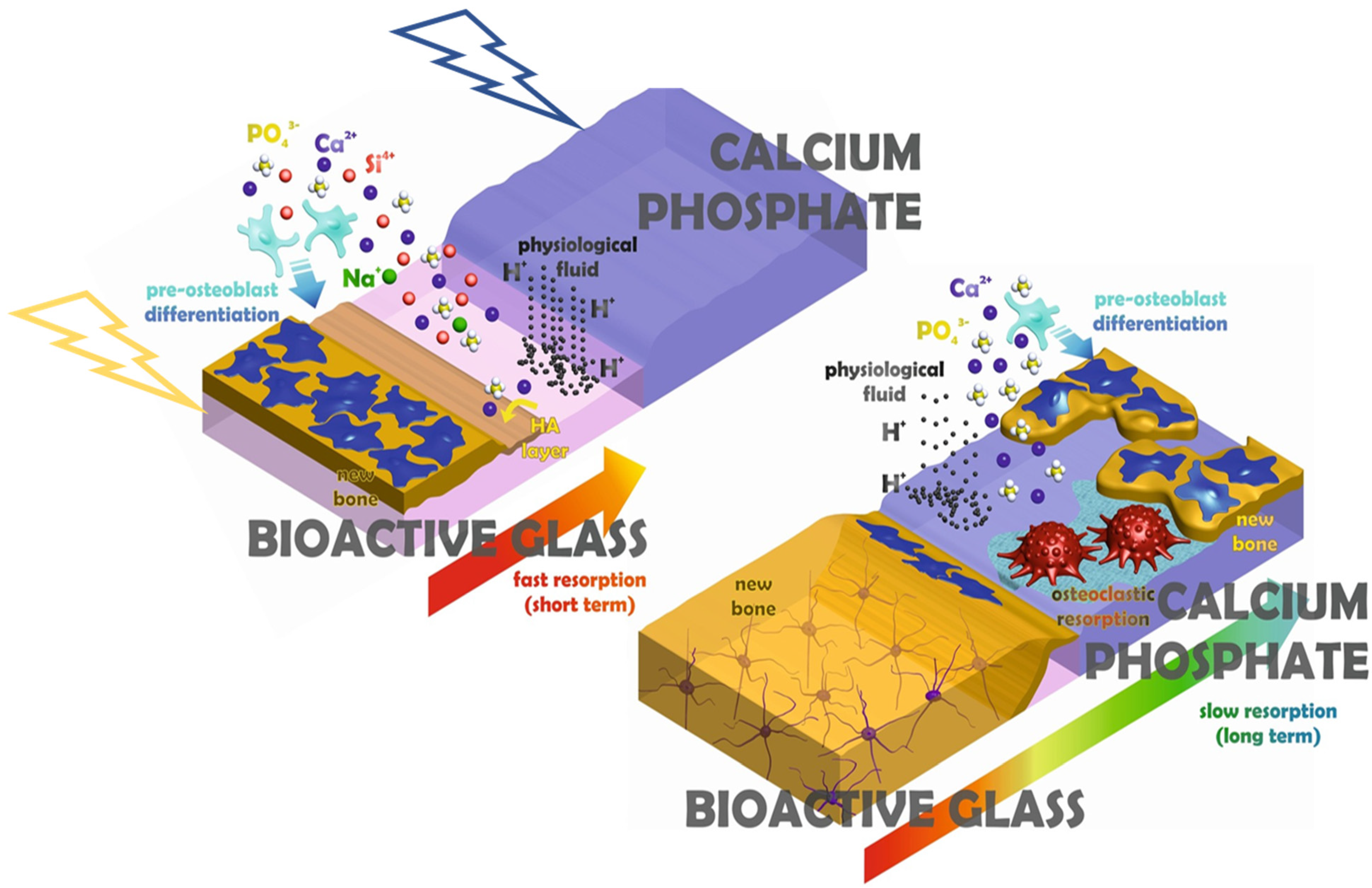 Materials 14 05338 g011 550