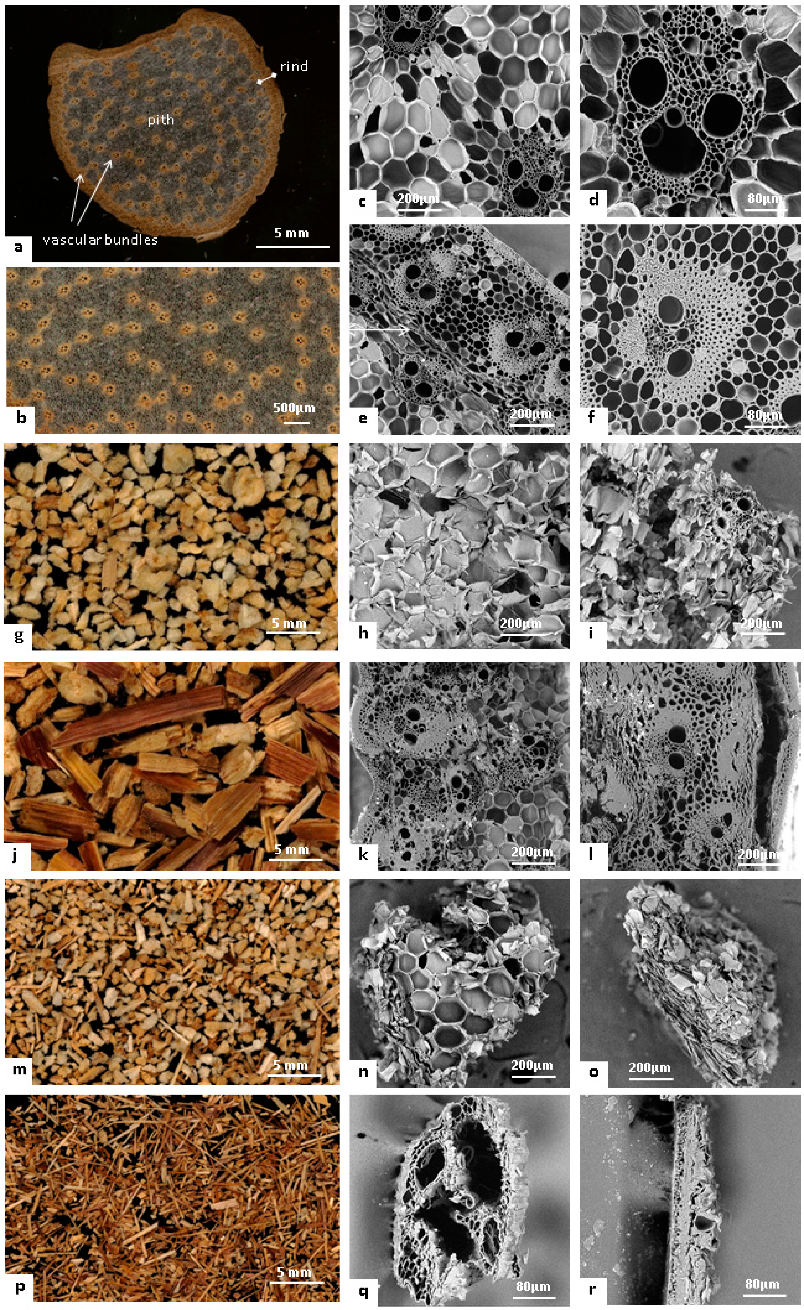 Materials 14 05350 g002 Materials 14 05350 g002