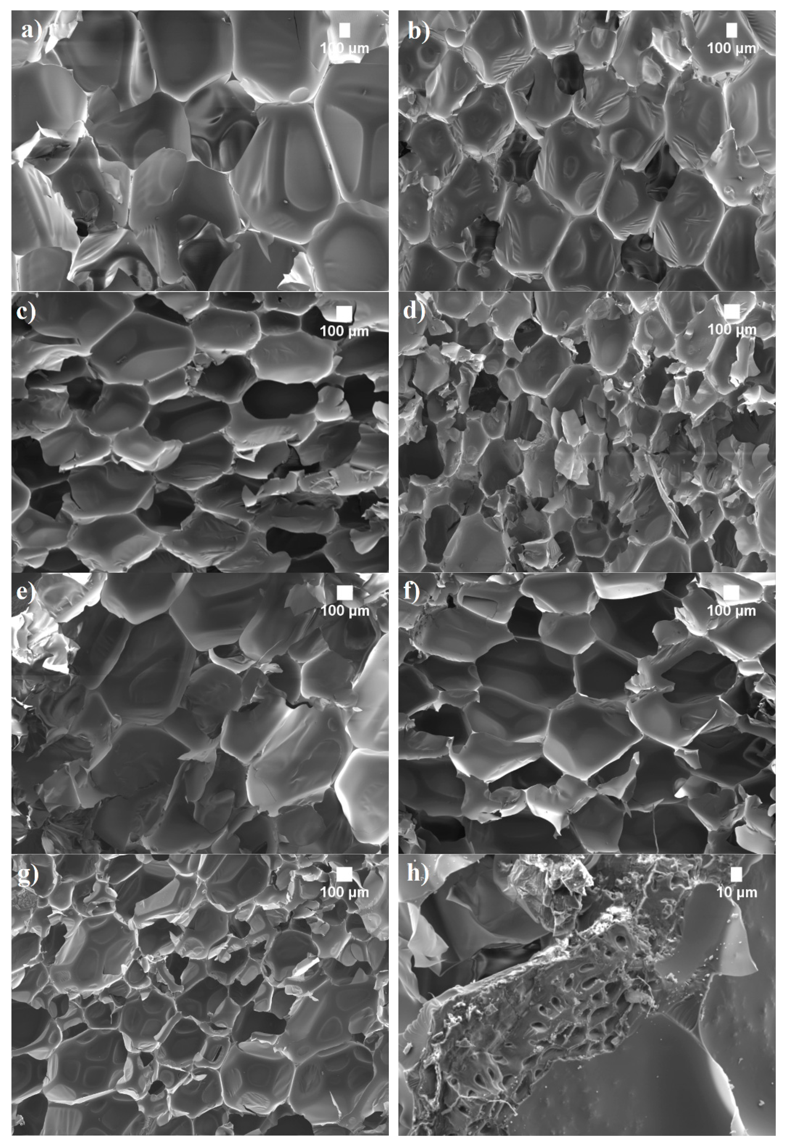 Materials 14 05351 g005