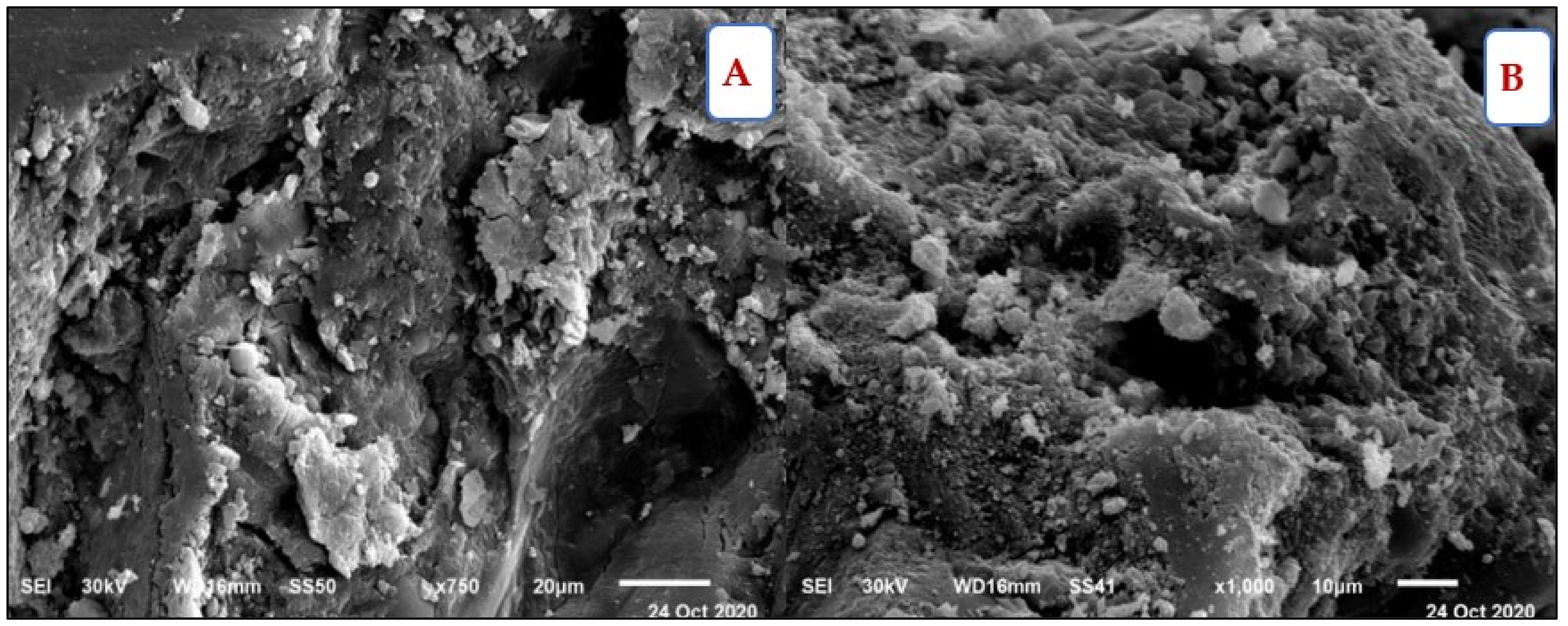 Materials 14 05353 g019 550