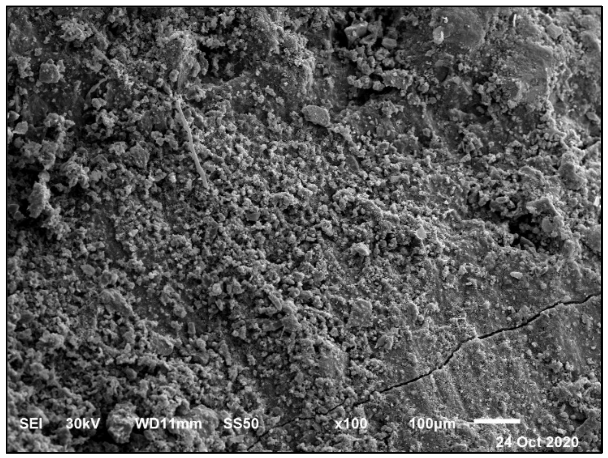 Materials 14 05353 g024 550