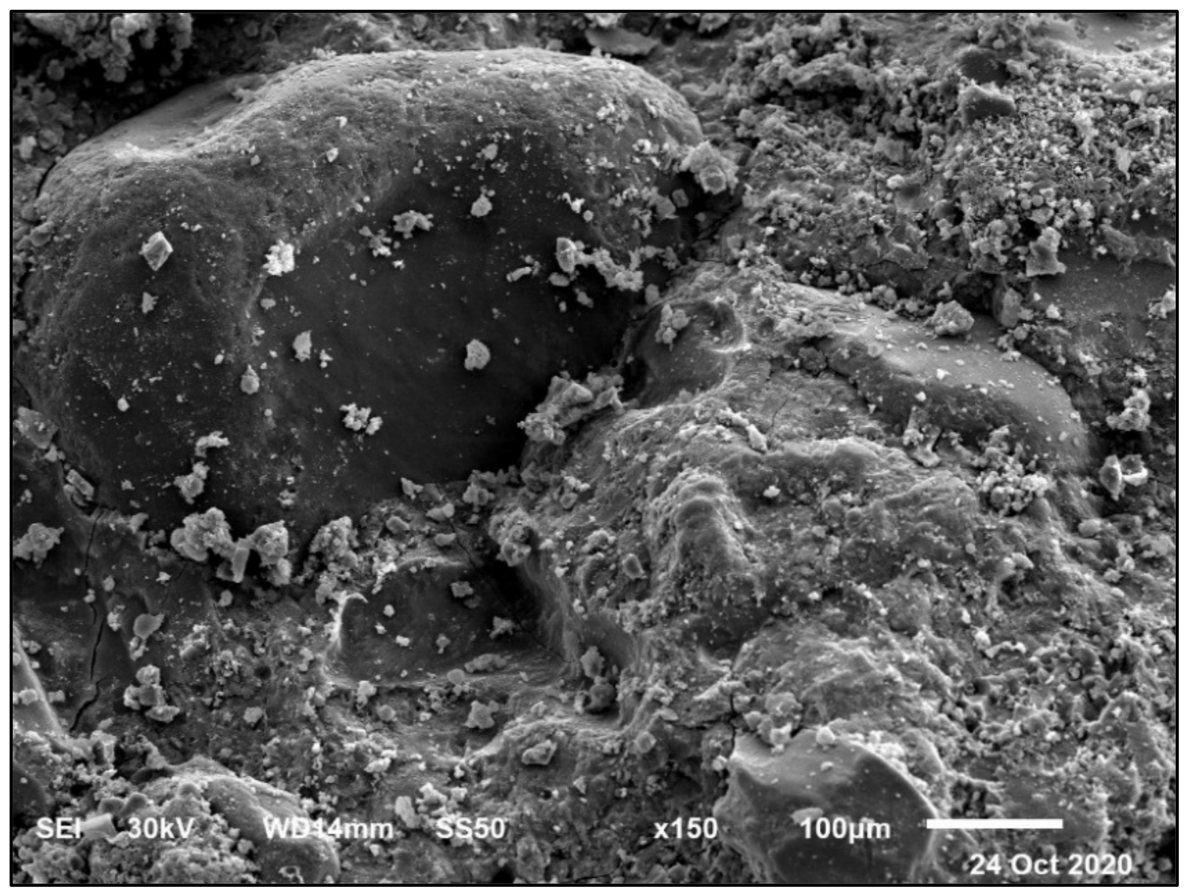 Materials 14 05353 g028 550