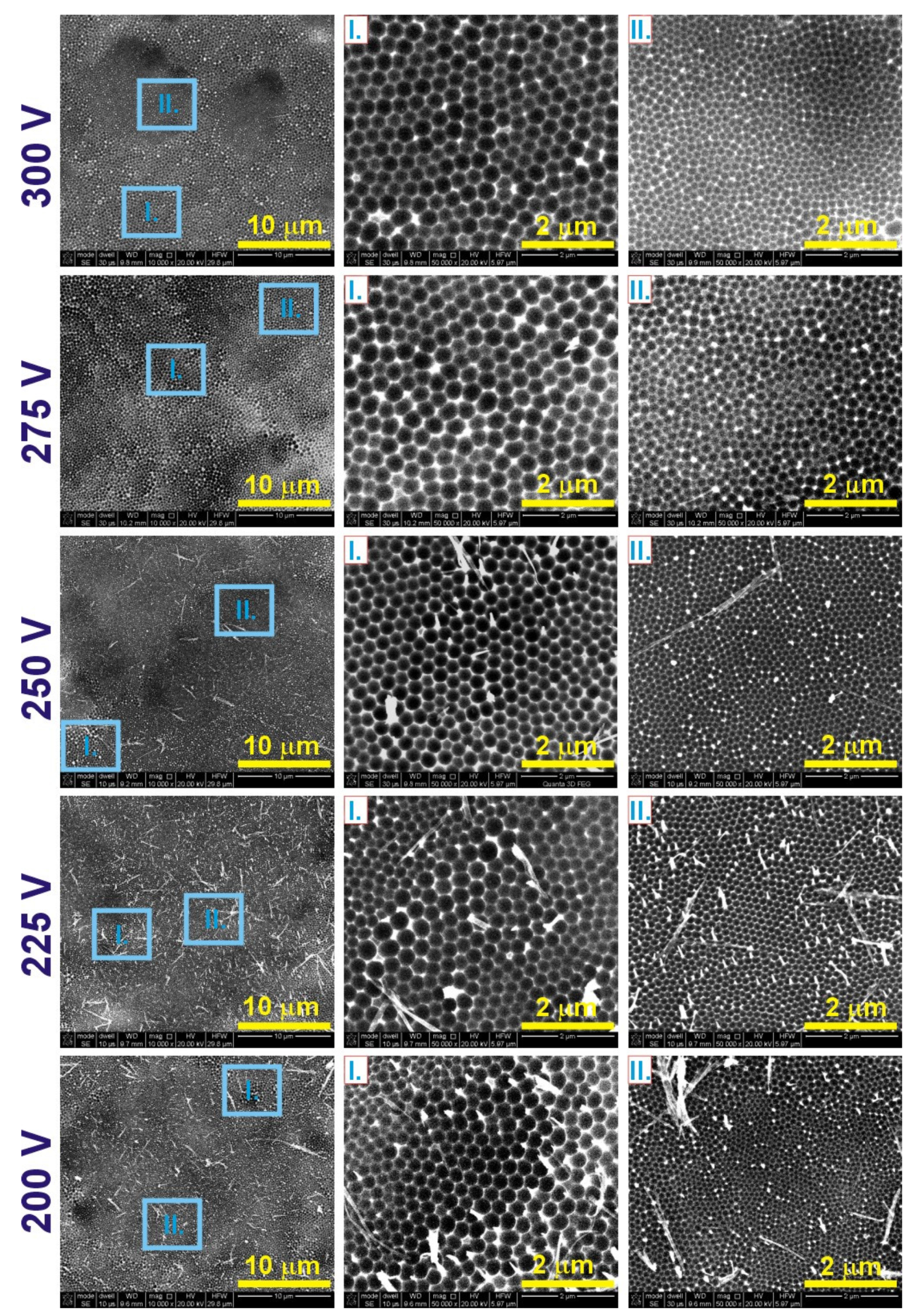 Materials 14 05362 g002
