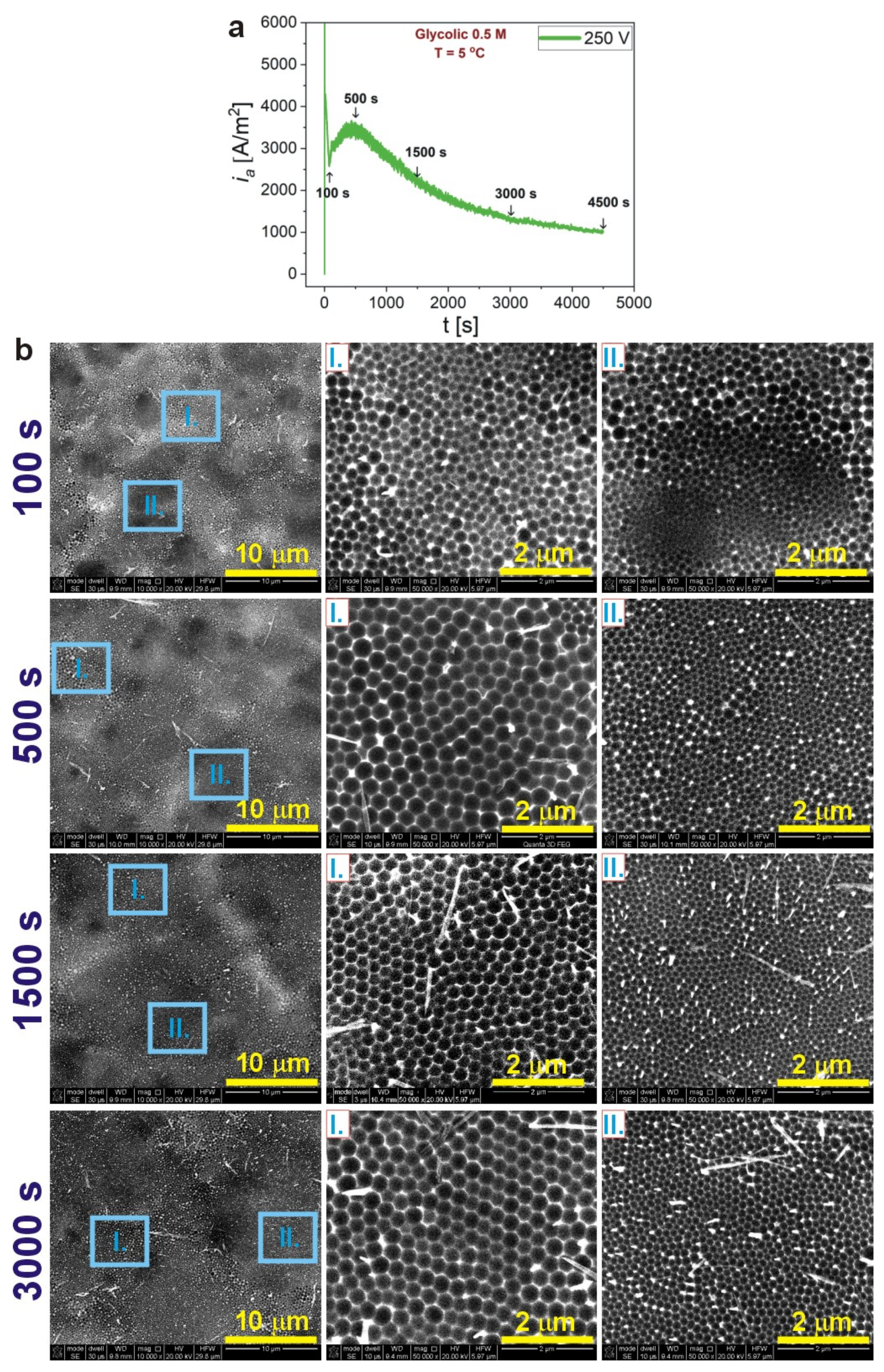 Materials 14 05362 g003