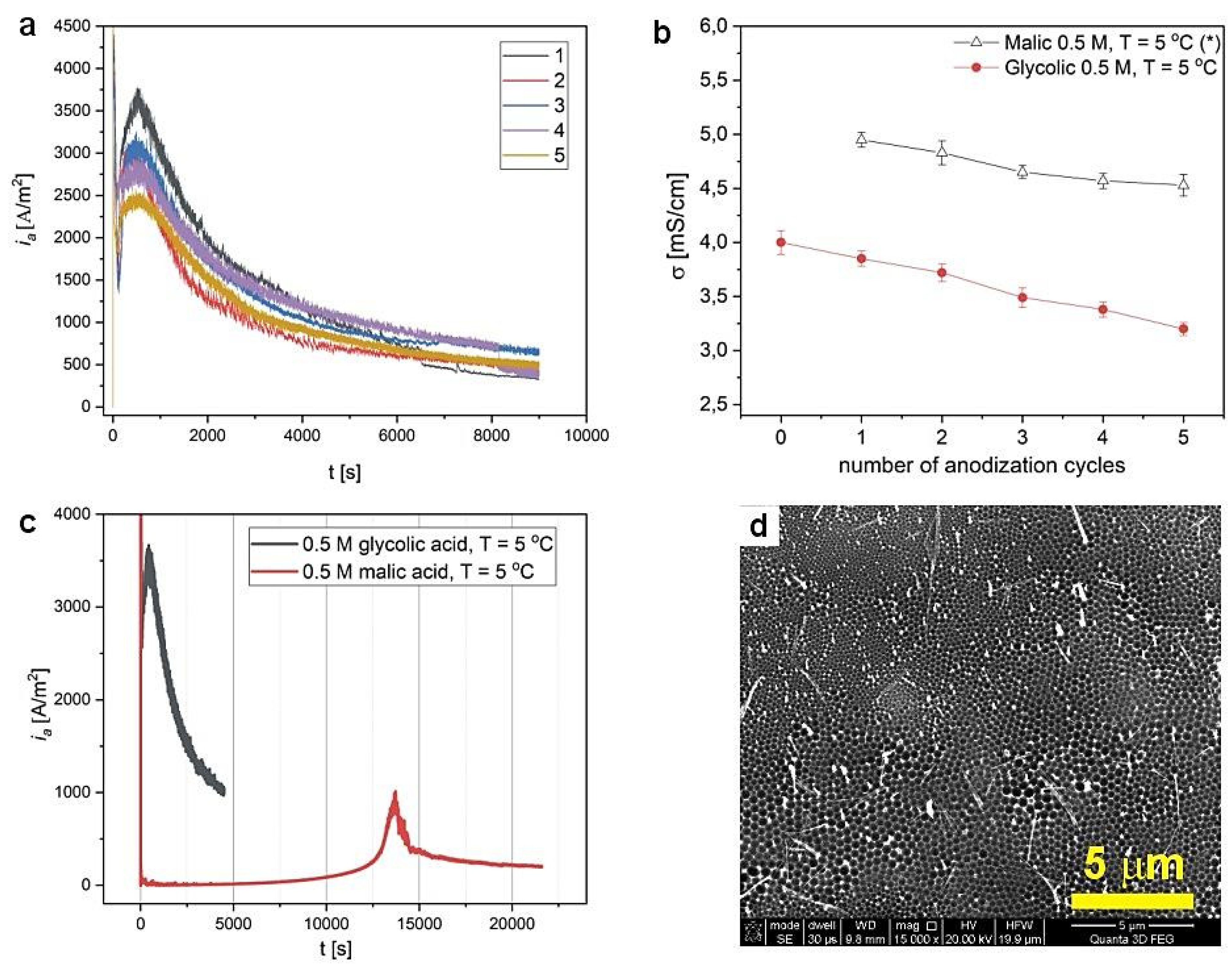Materials 14 05362 g005