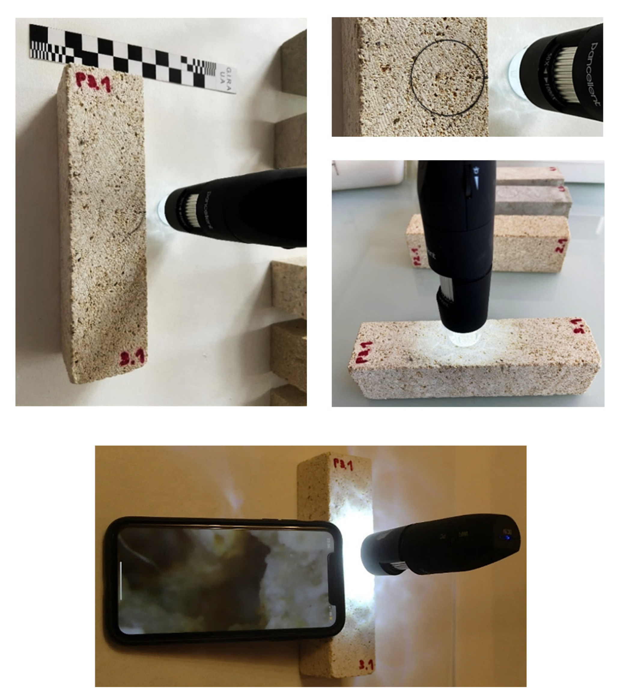 Materials 14 05369 g008 550