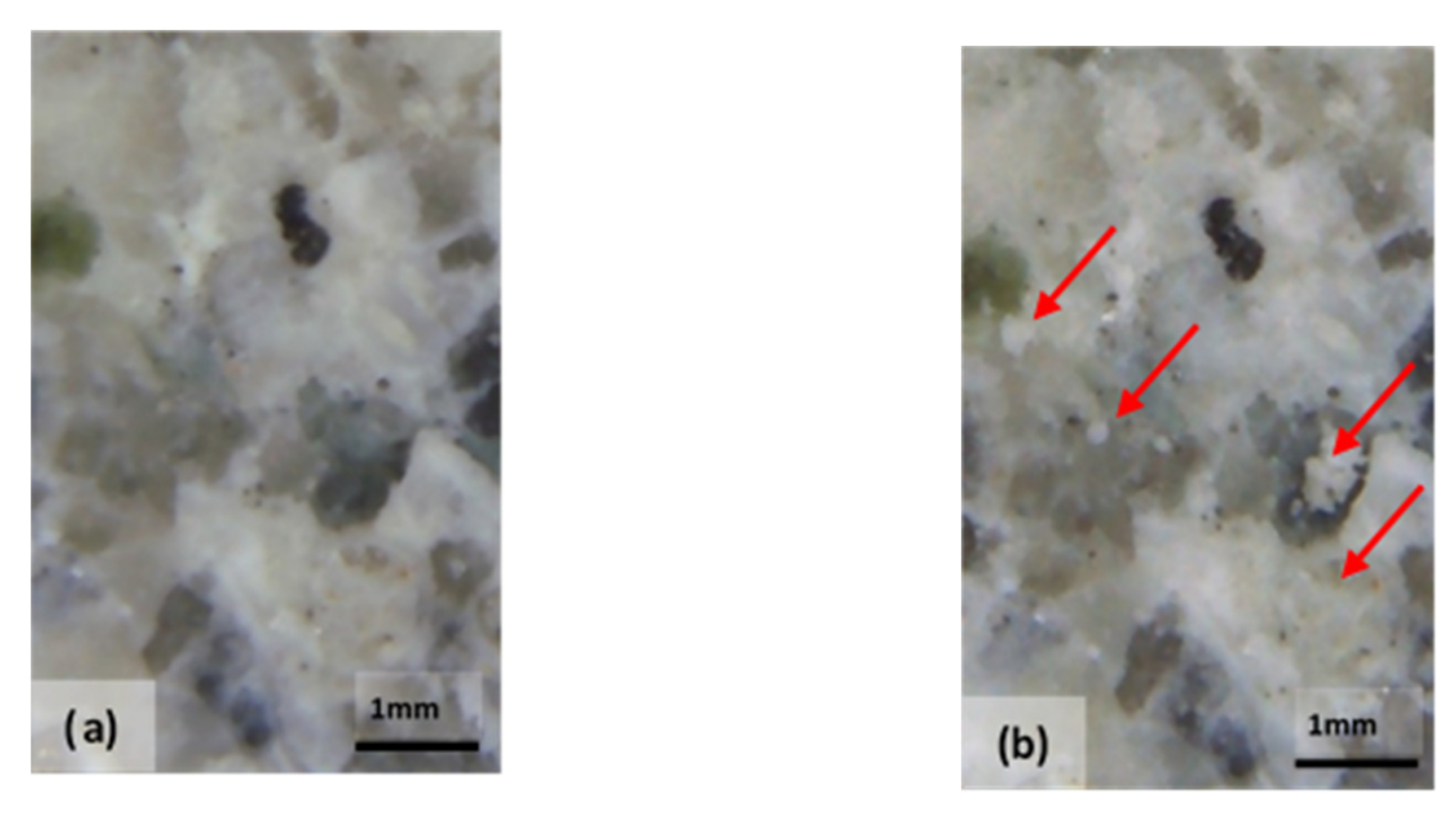 Materials 14 05369 g009 550