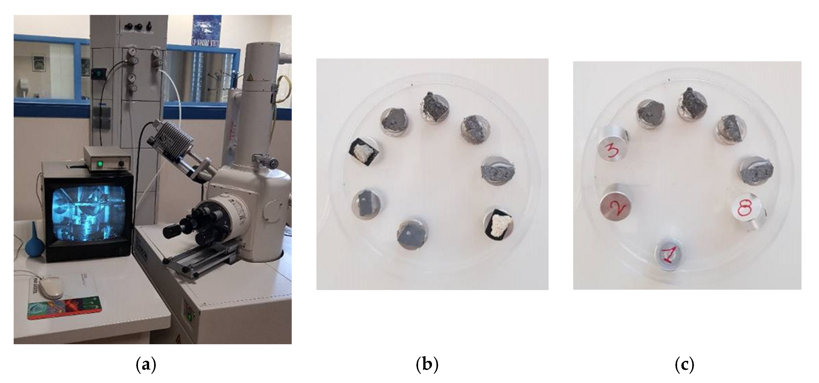 Materials 14 05369 g010 550